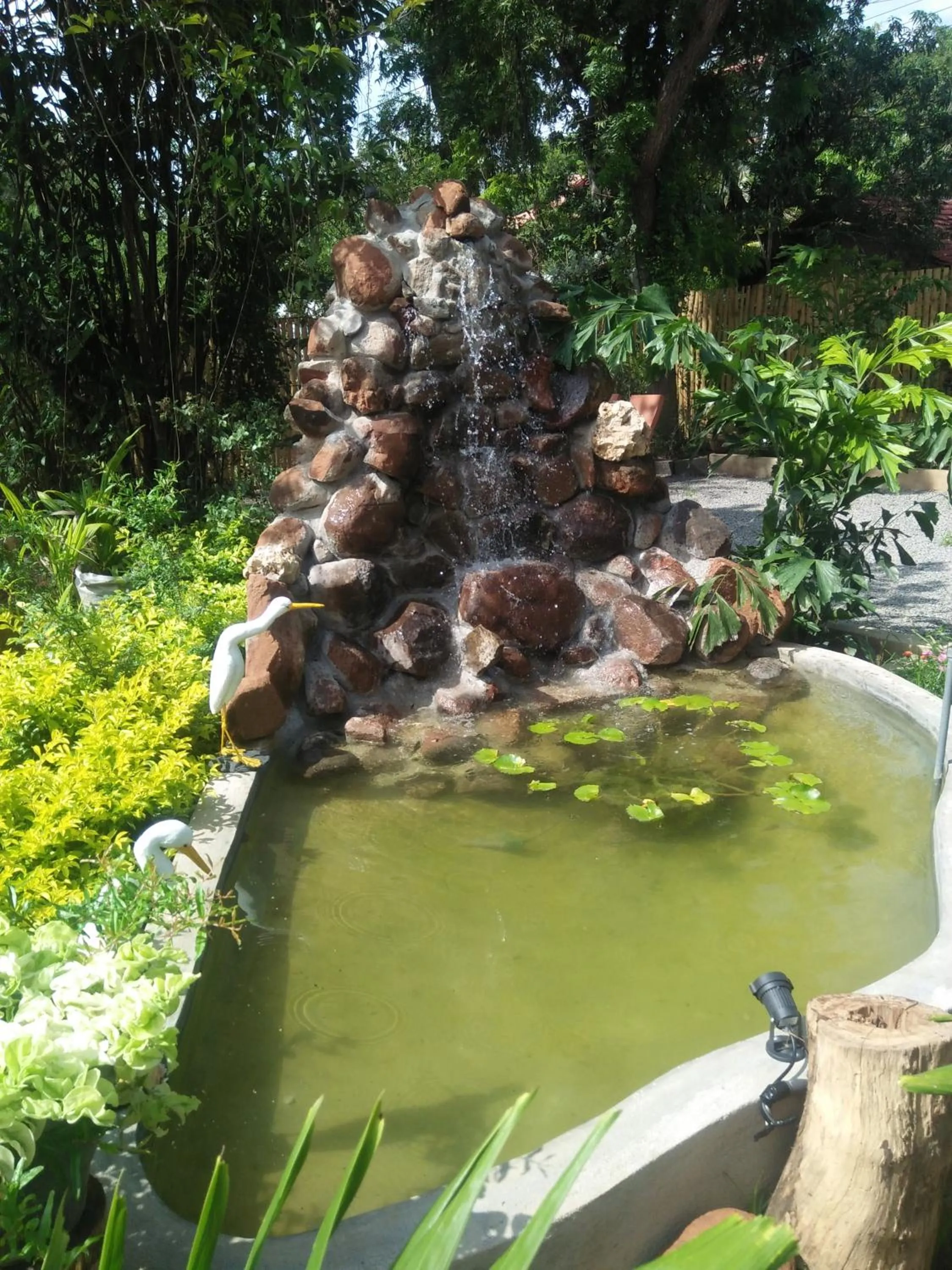 View (from property/room) in Nehansa Resort and safari