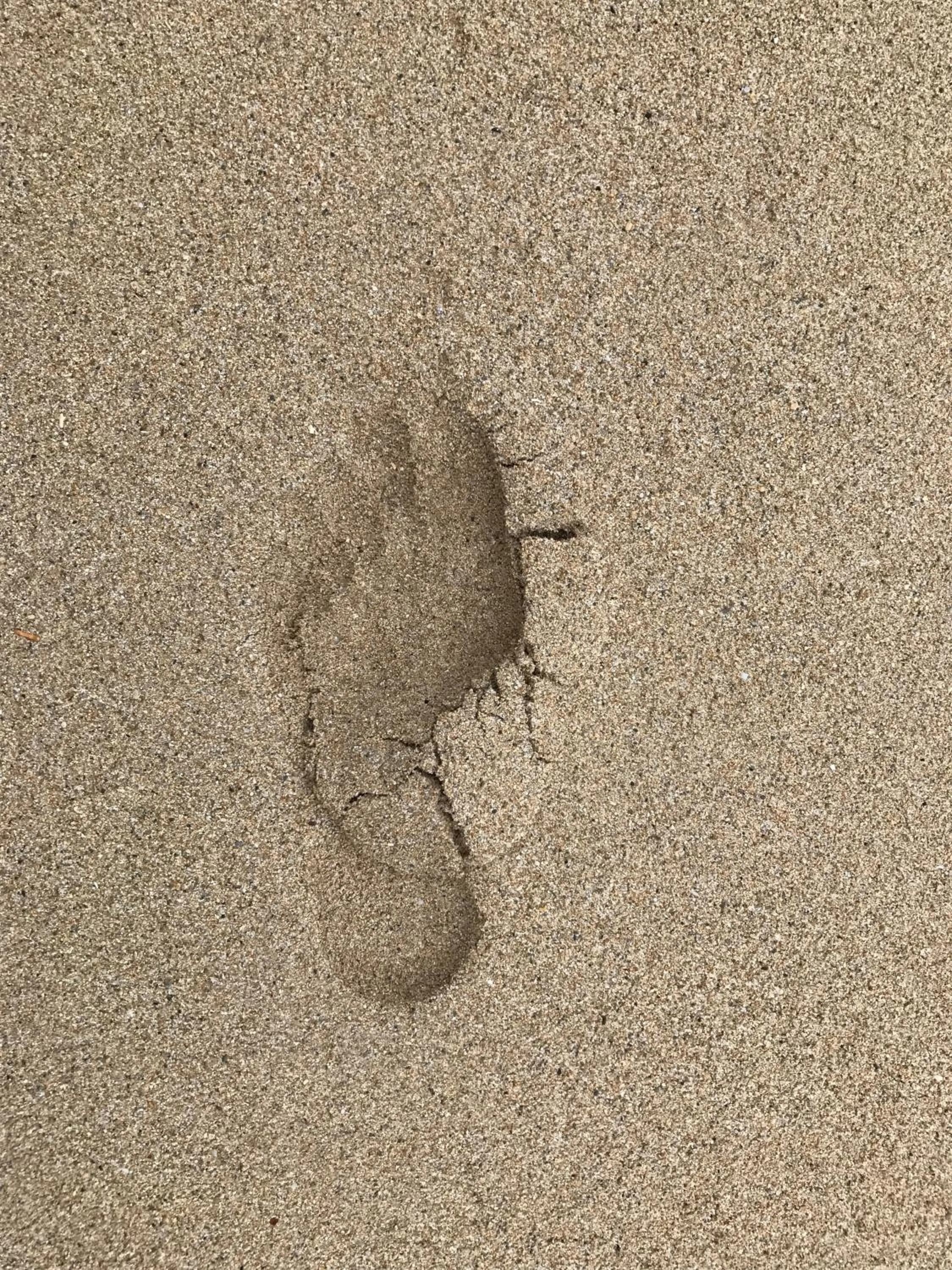 Beach in Polynesian Residences Waikiki Beach