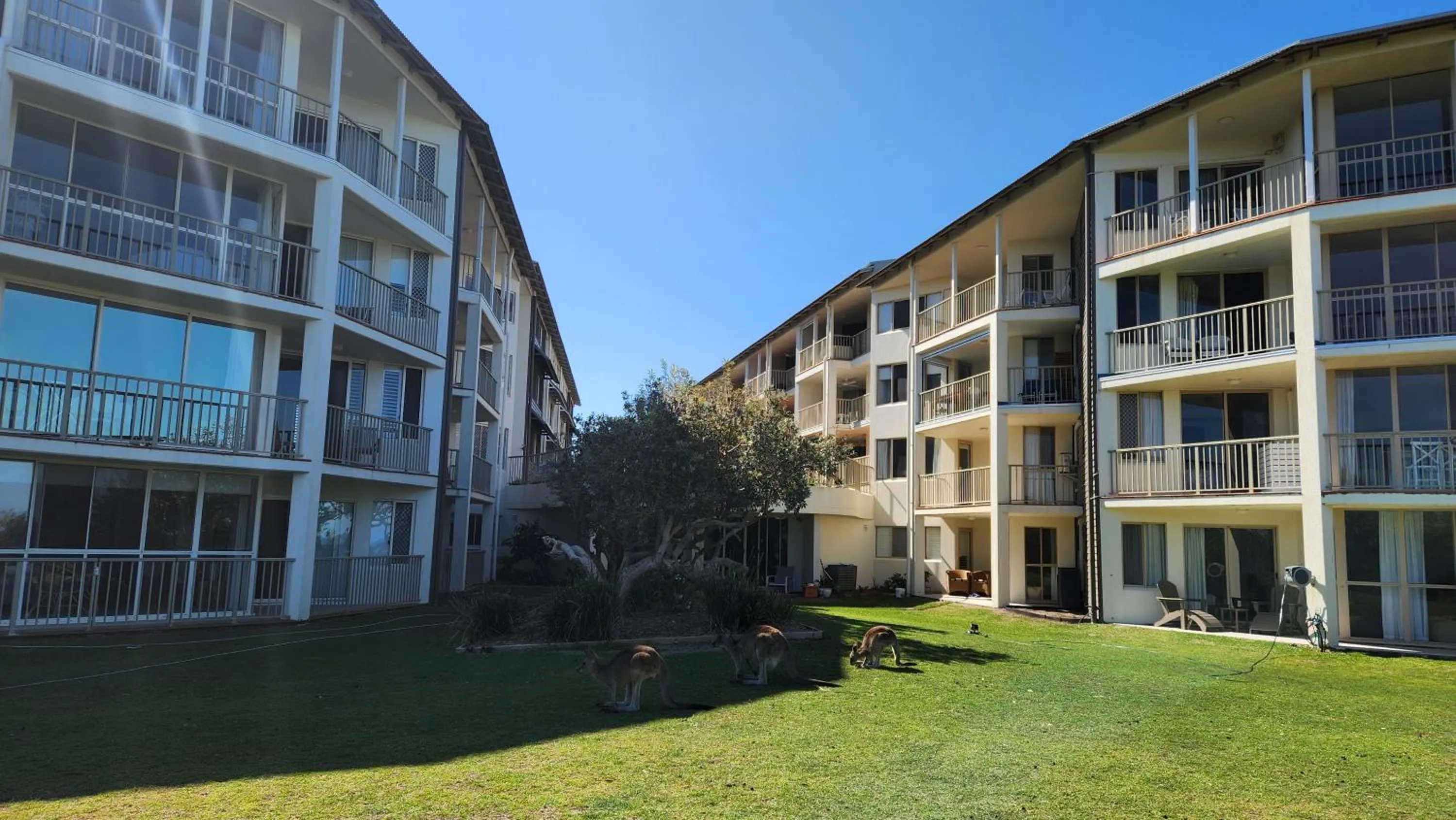 Whalewatch Ocean Beach Resort