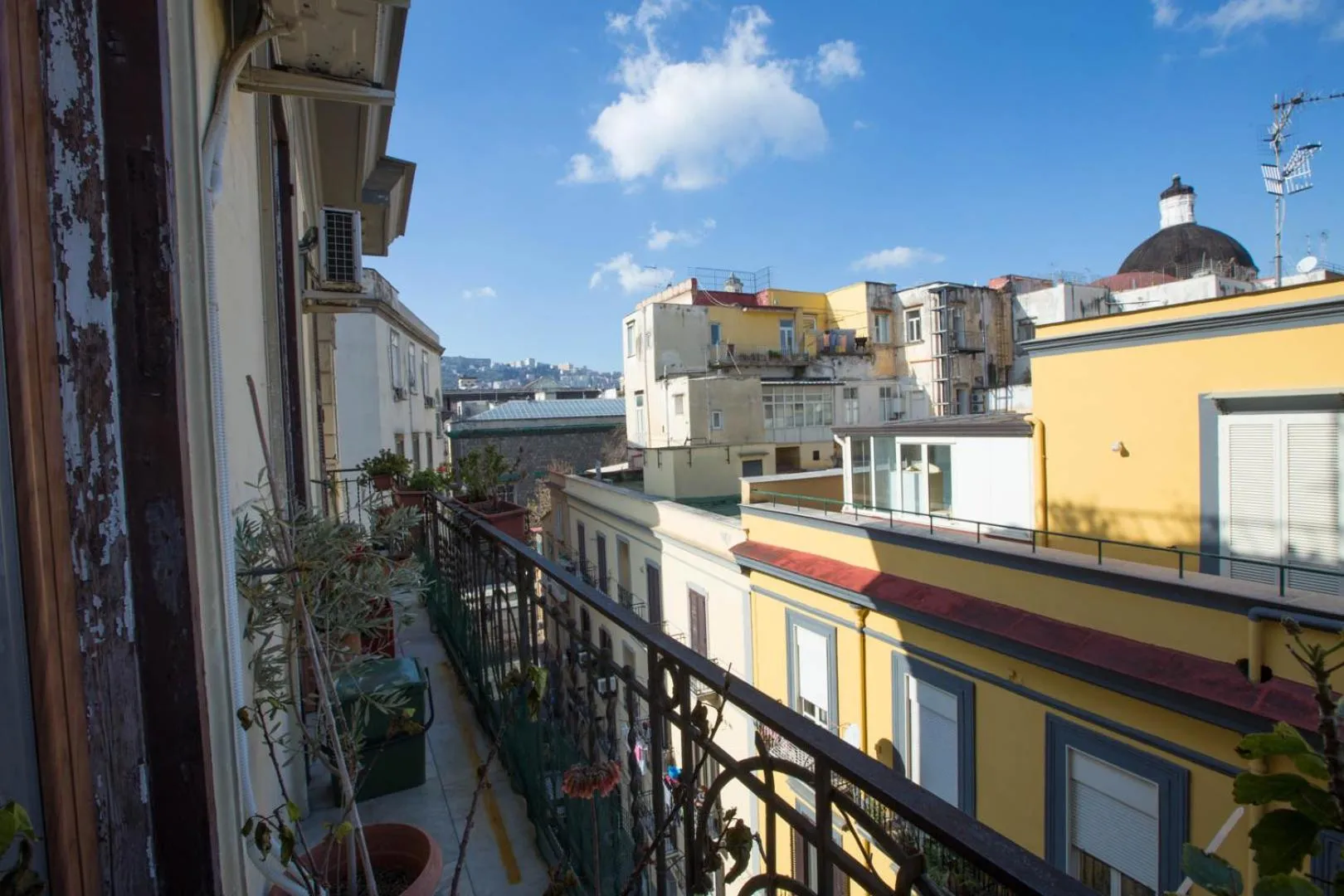 Suite Orchidea by Dimorra