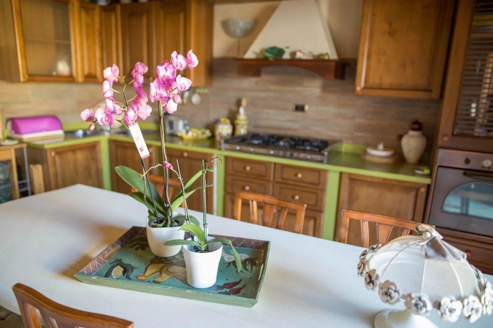 Suite Orchidea by Dimorra