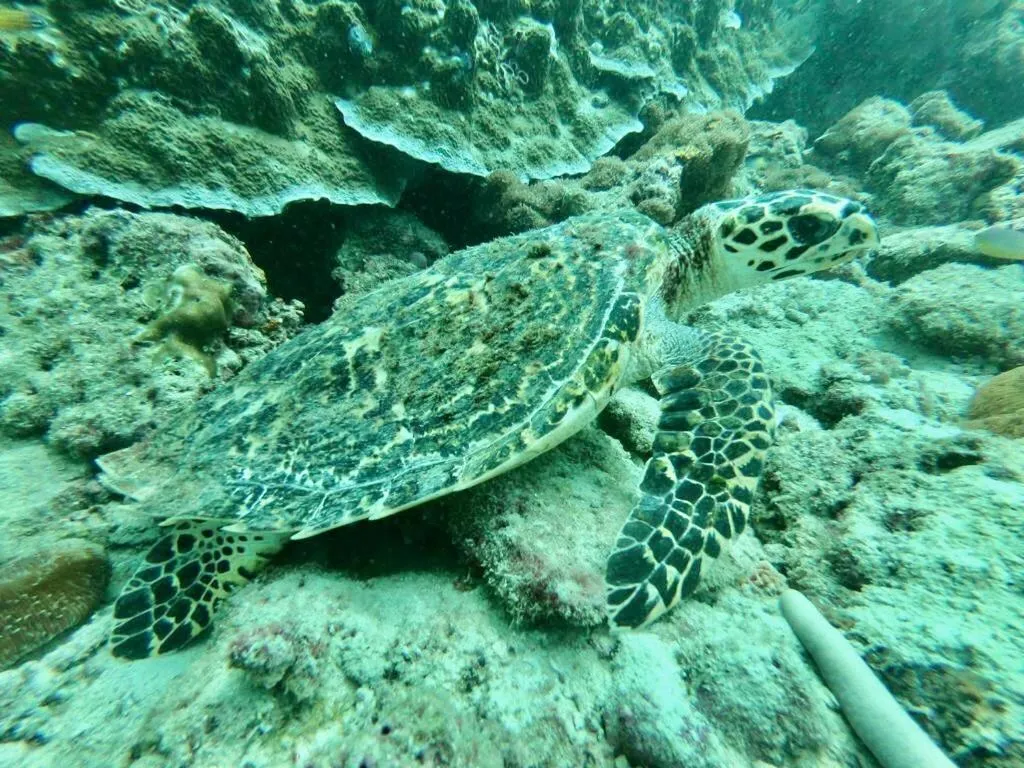 Mook Montra Resort Sea Front