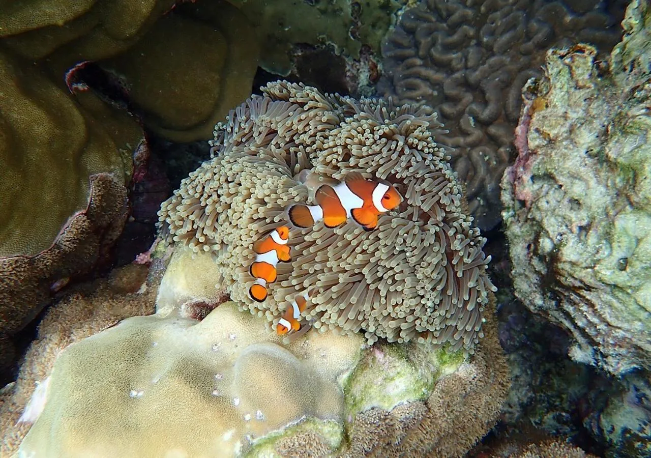 Mook Montra Resort Sea Front