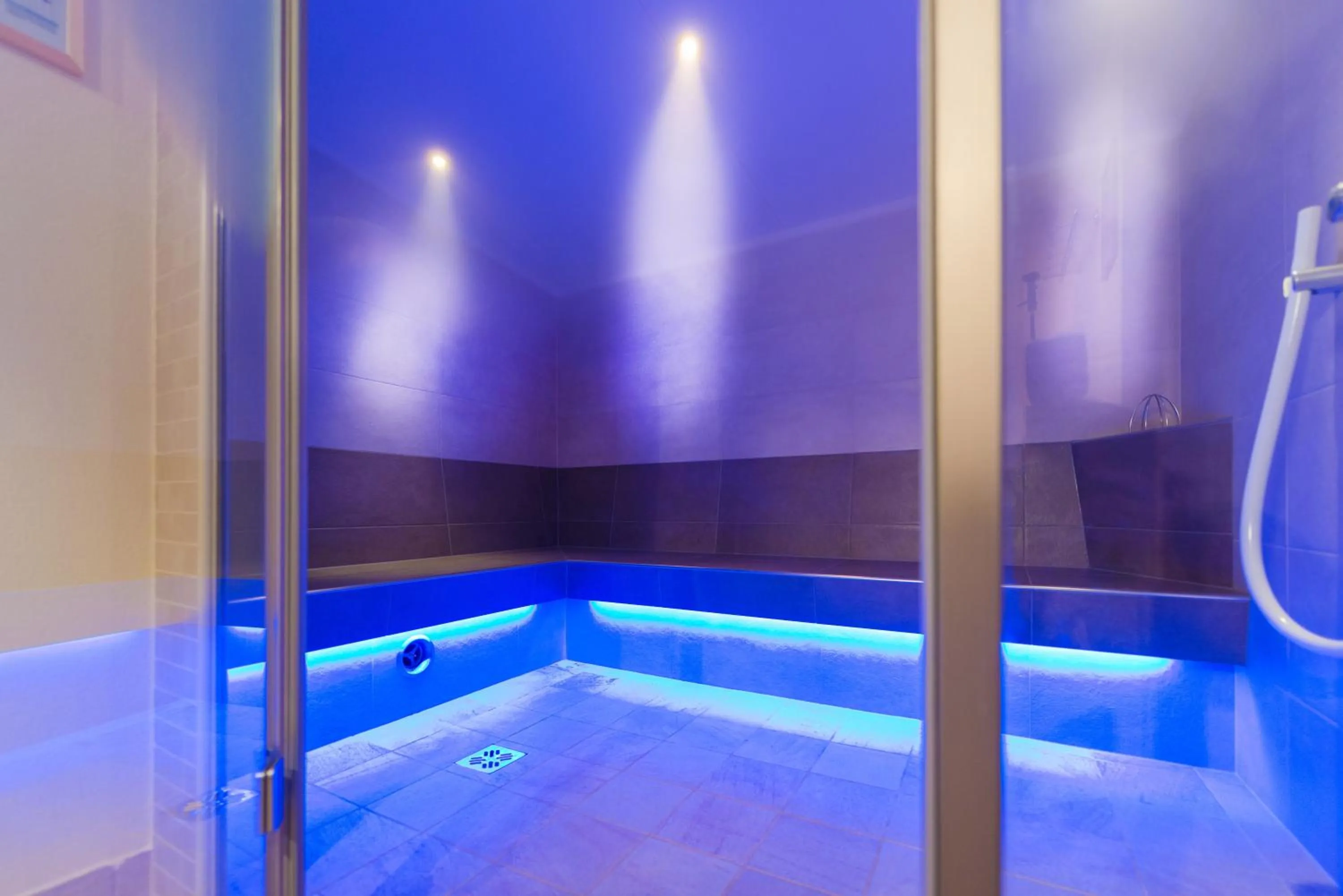 Spa and wellness centre/facilities in Spa&Aktiv Hotel Lavendel