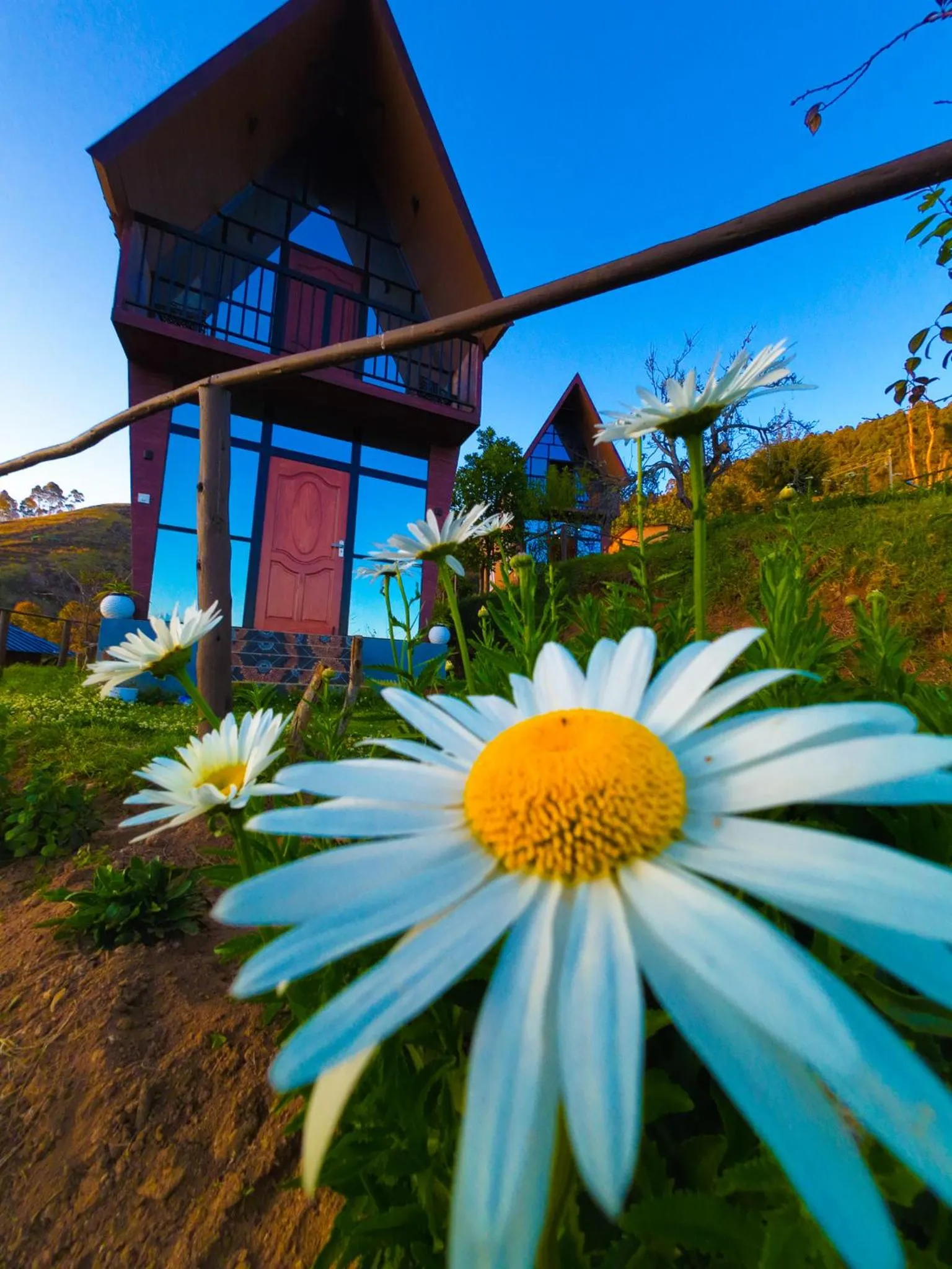 Hie Moksha Glamping