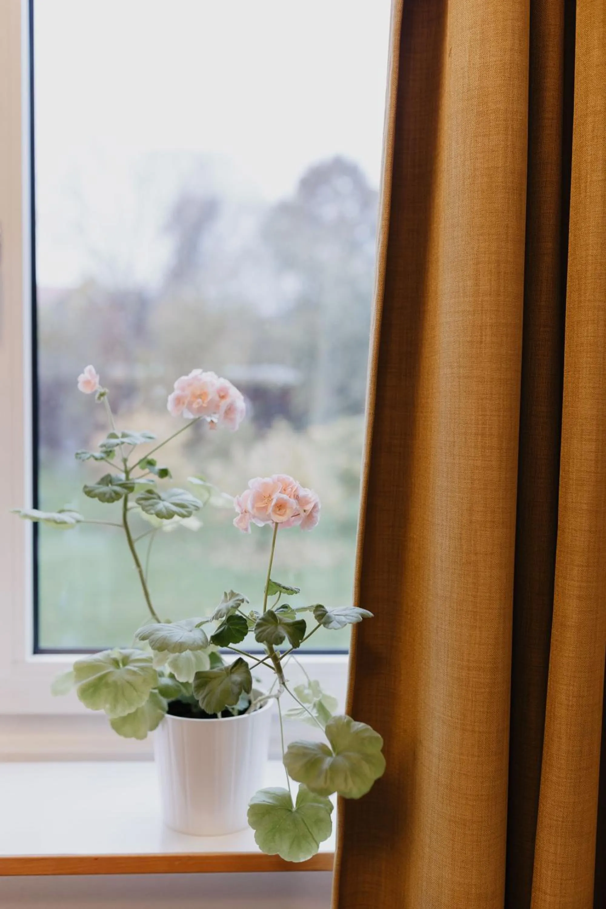 View (from property/room) in Vassbo Vandrarhem