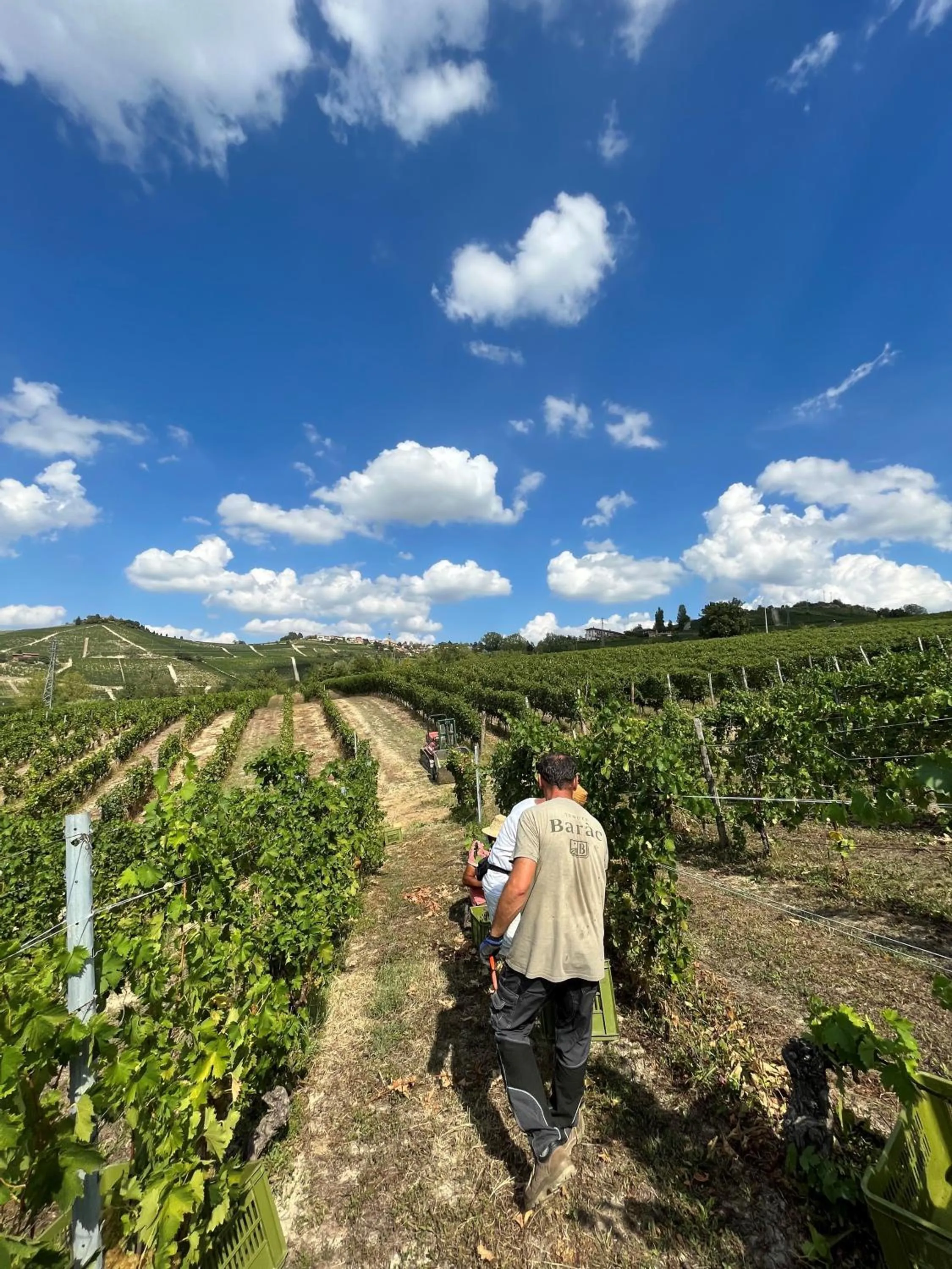 People in Tenuta Baràc