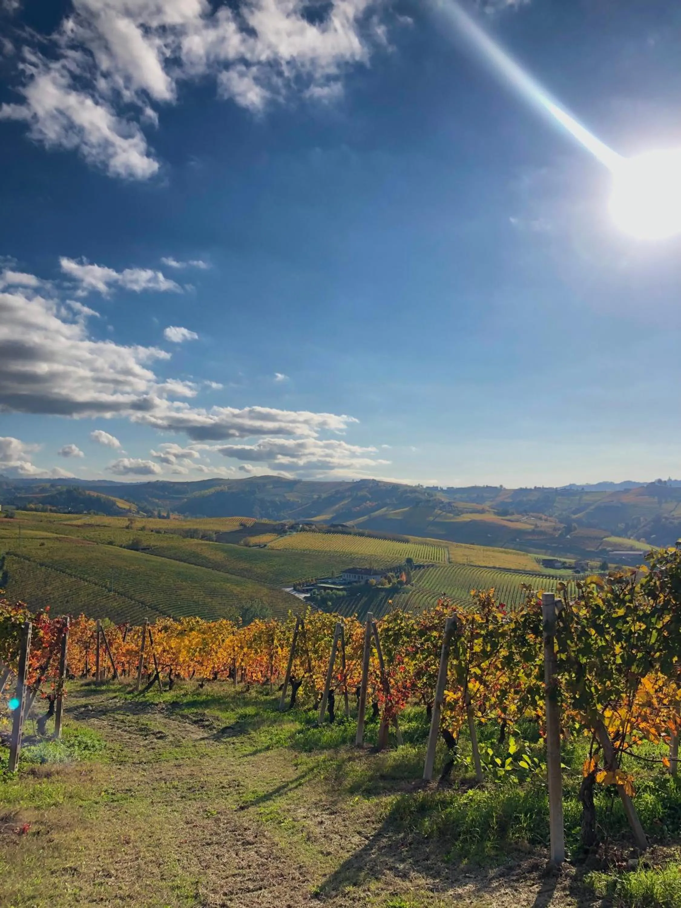 Natural landscape in Tenuta Baràc