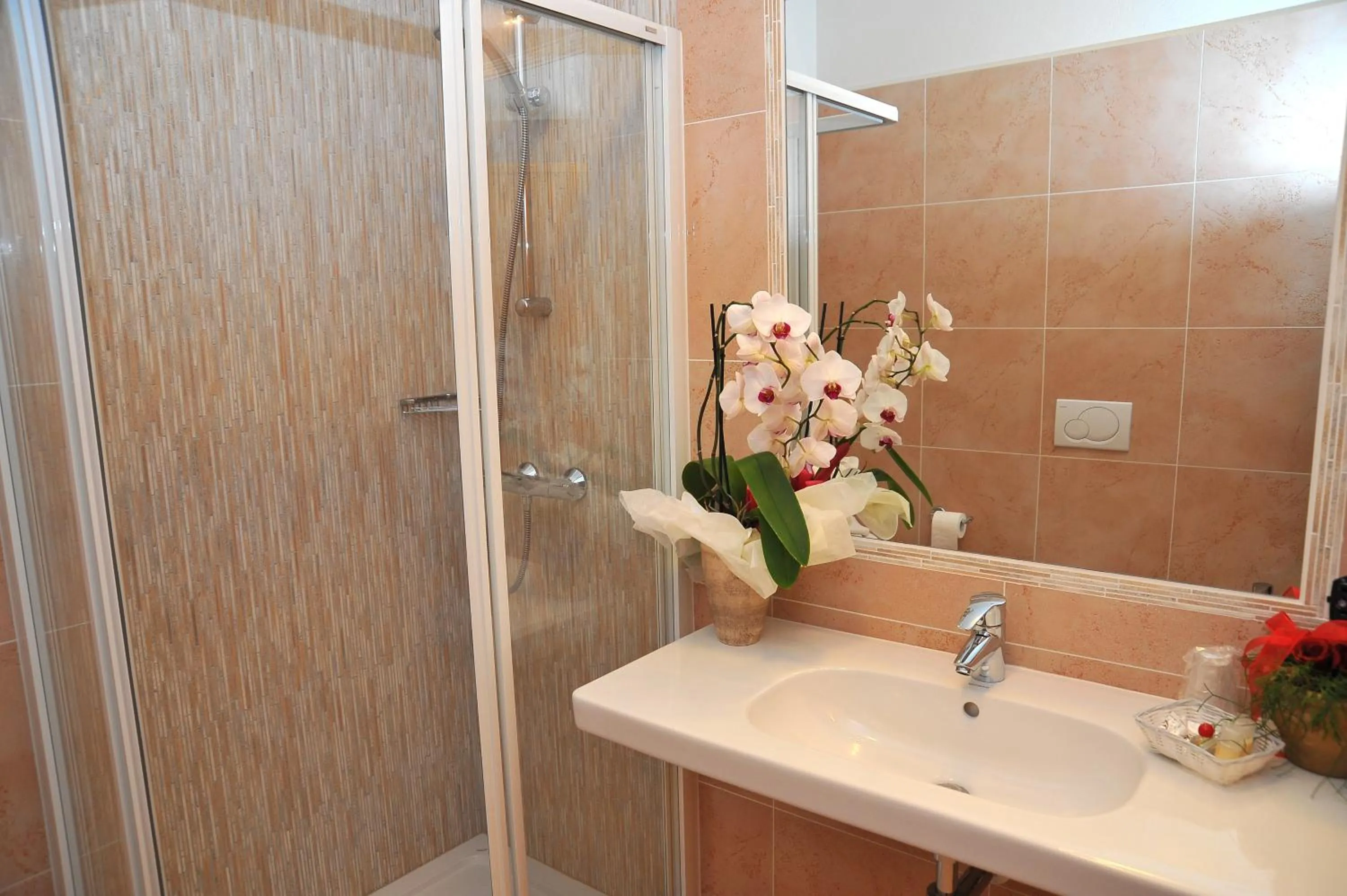 Bathroom in Albergo Stelvio