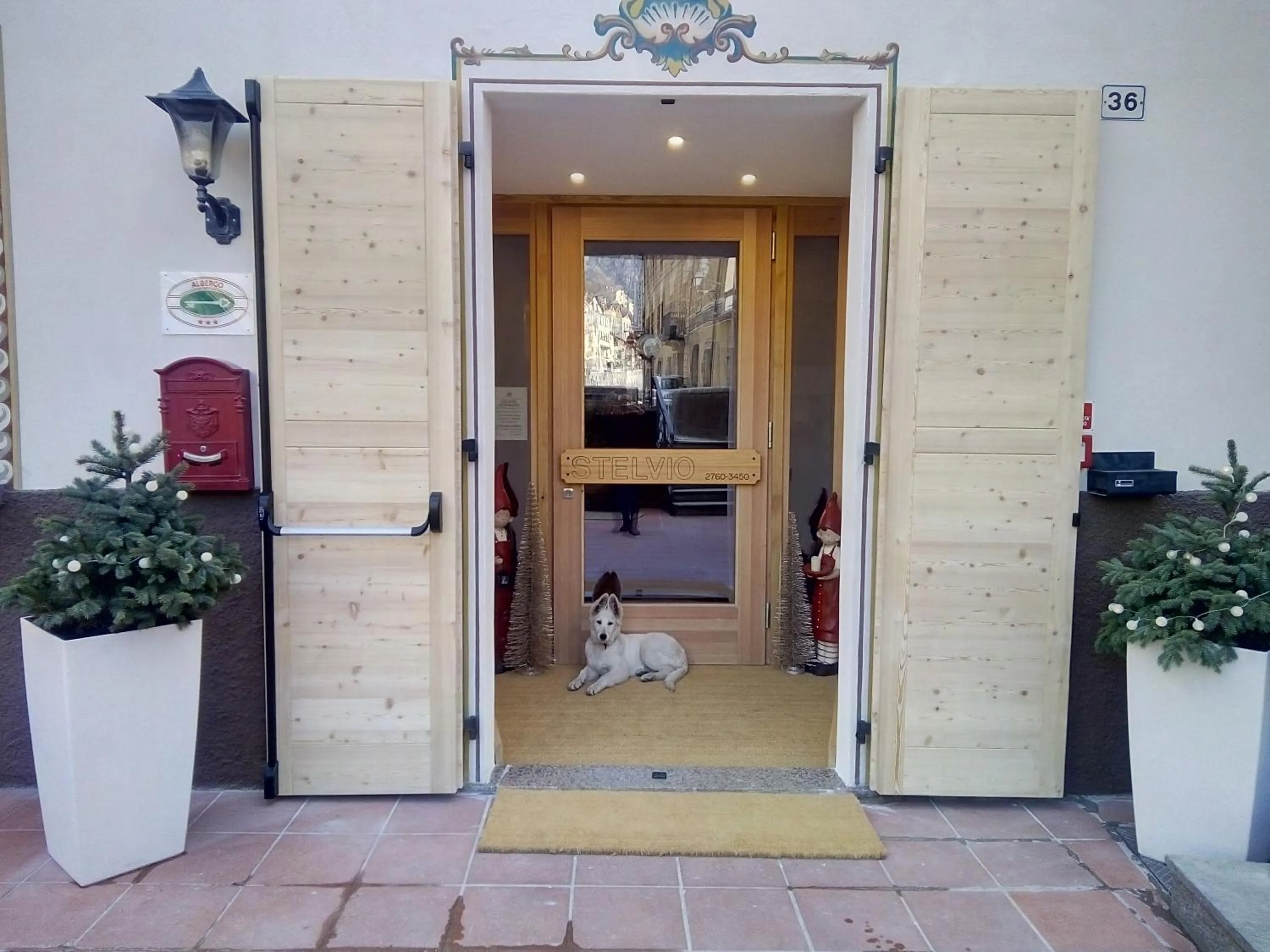 Pets in Albergo Stelvio
