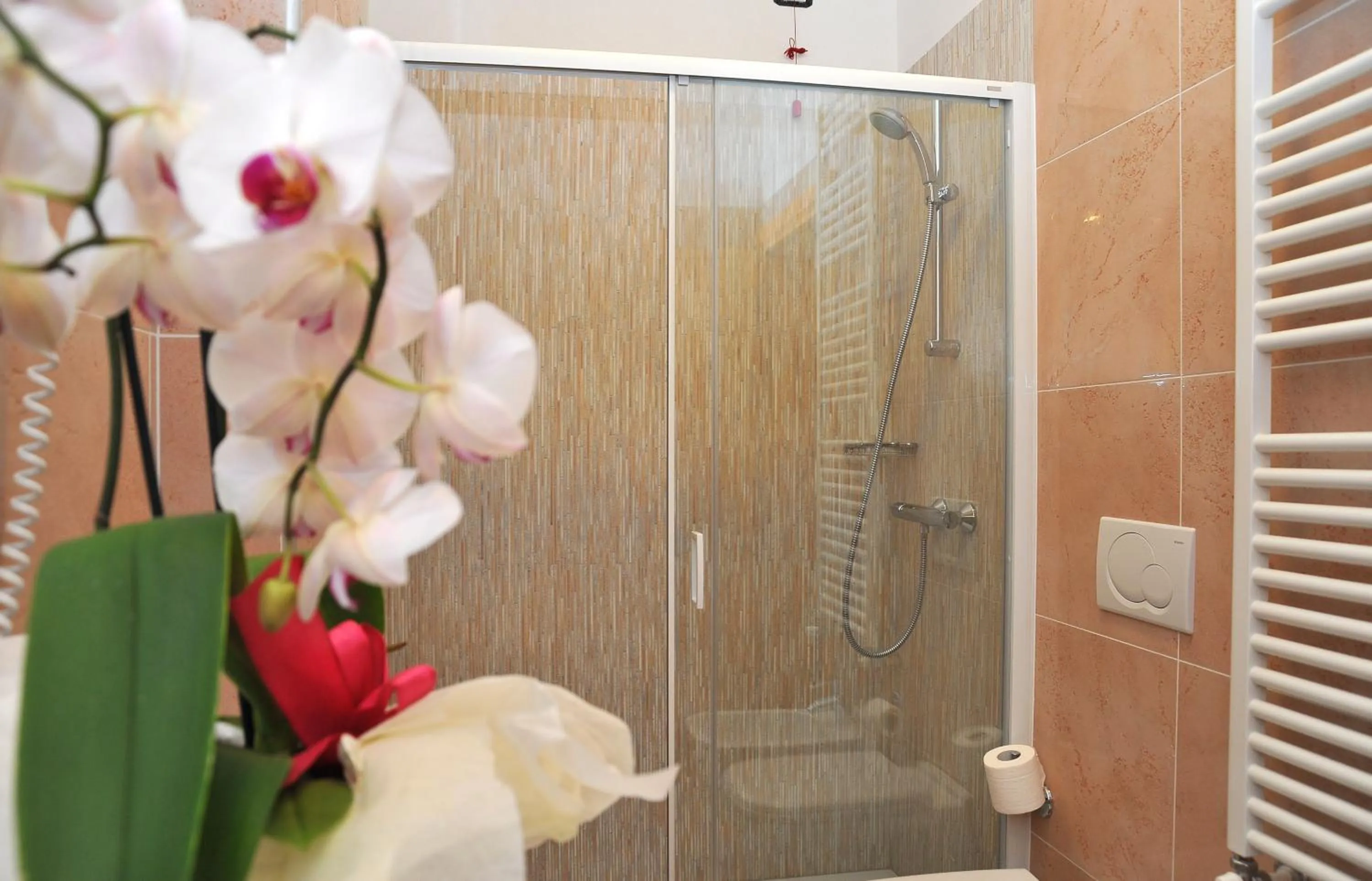 Shower in Albergo Stelvio