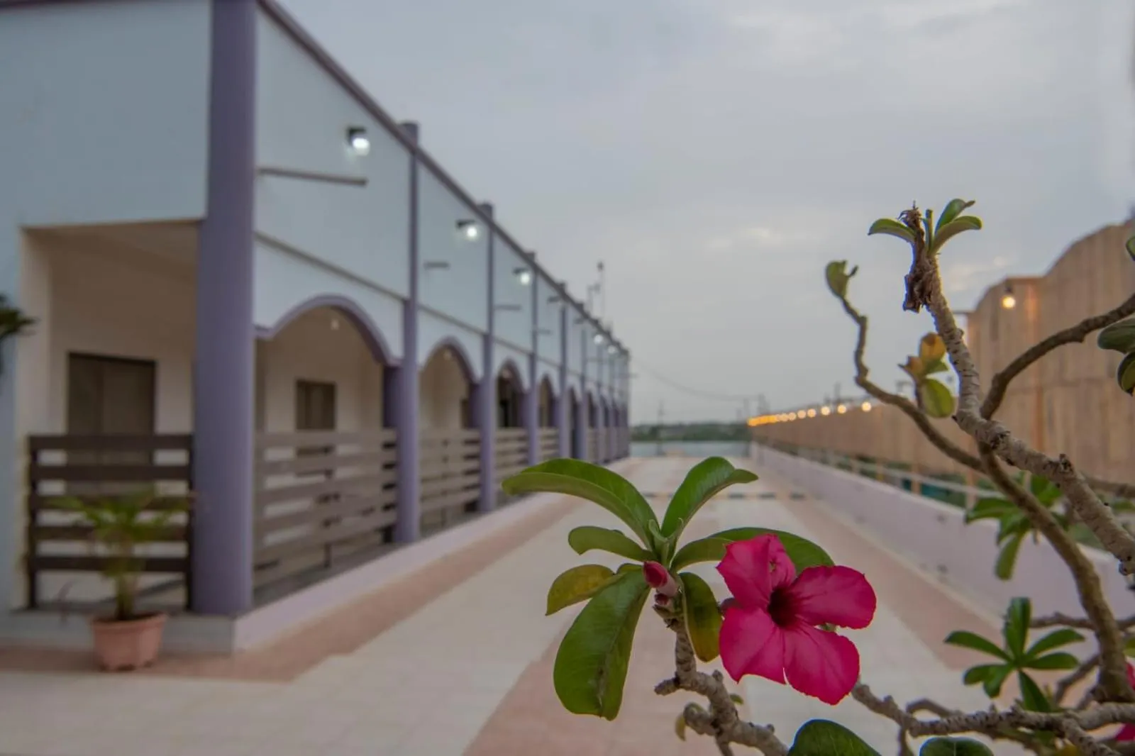 Property building in Hotel Surbhi