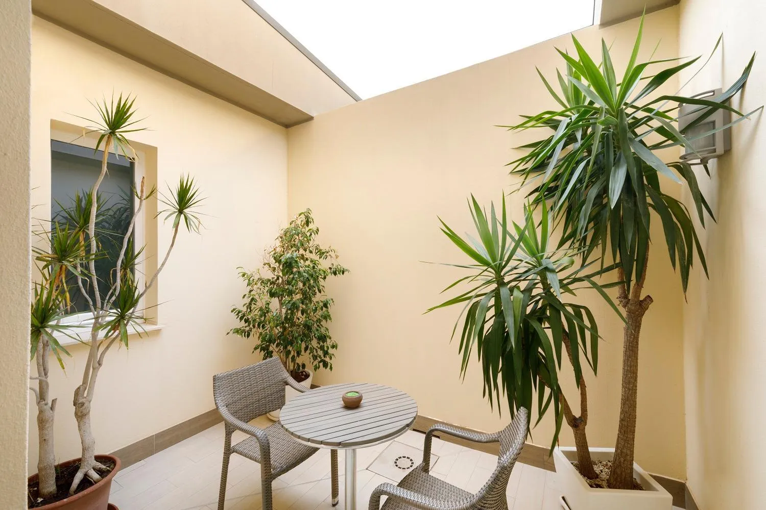 Patio in Hotel La Villa Del Mare