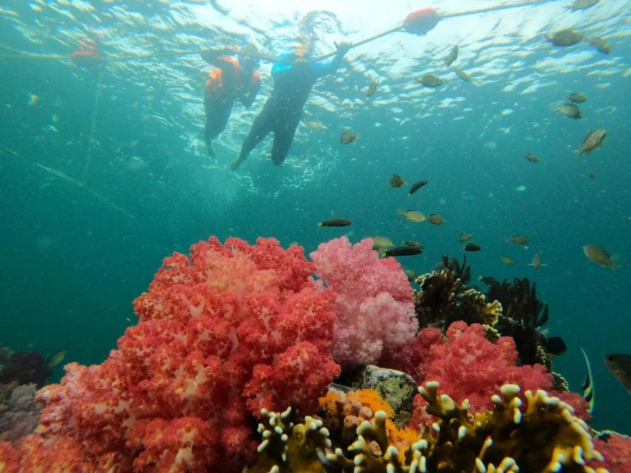 Activities in Z-Touch Lipe Island Resort