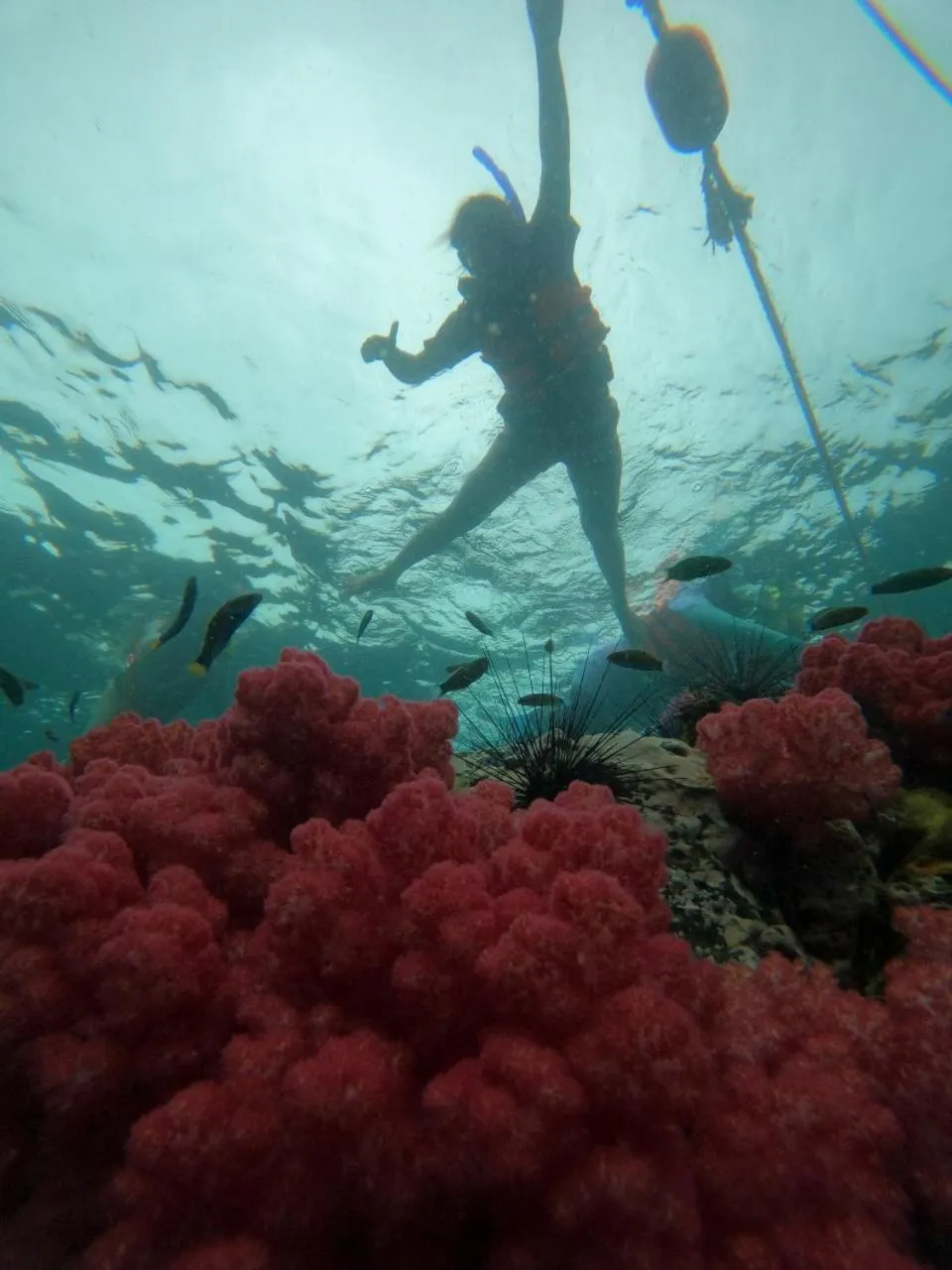 Activities in Z-Touch Lipe Island Resort