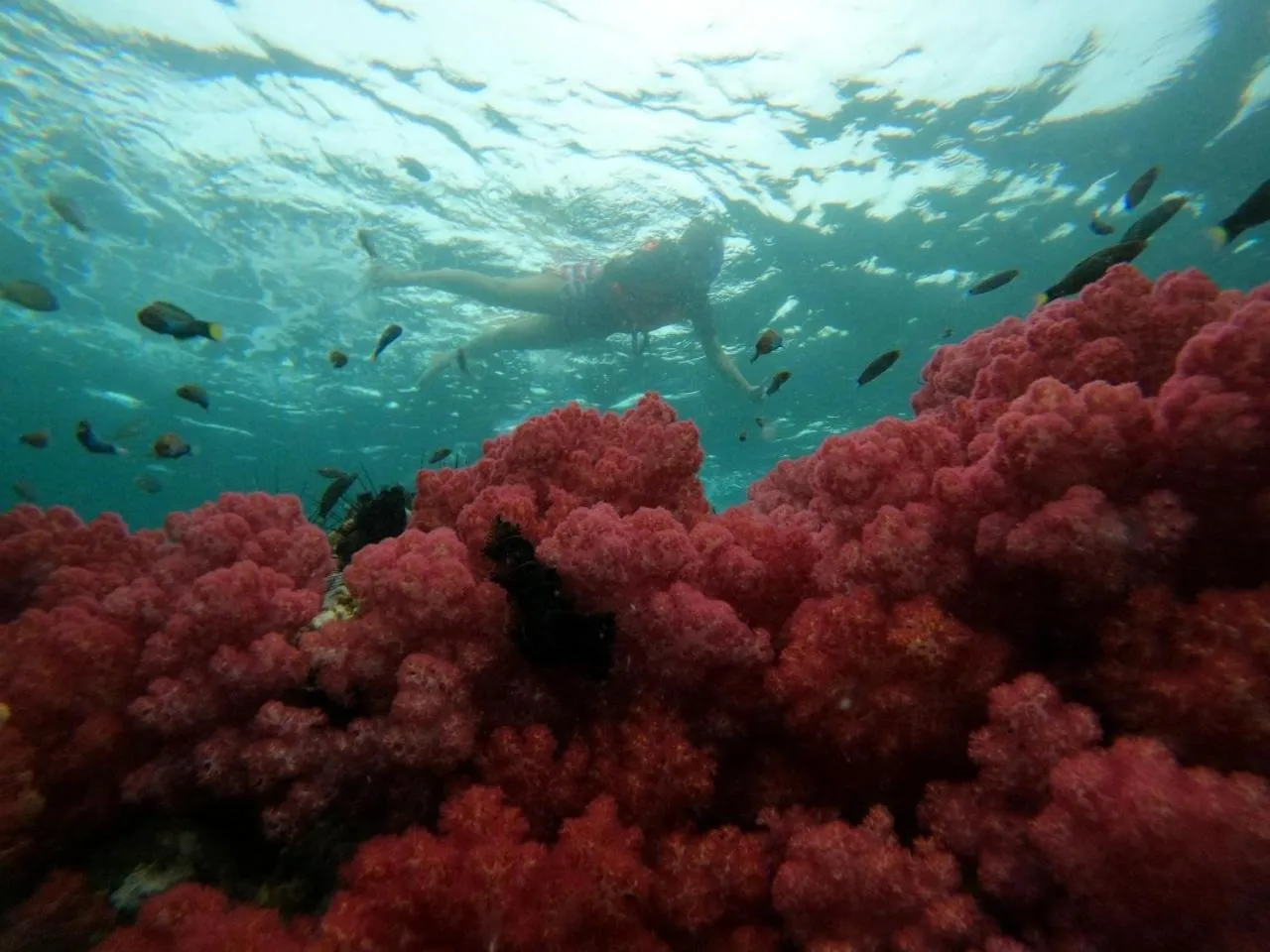 Activities in Z-Touch Lipe Island Resort