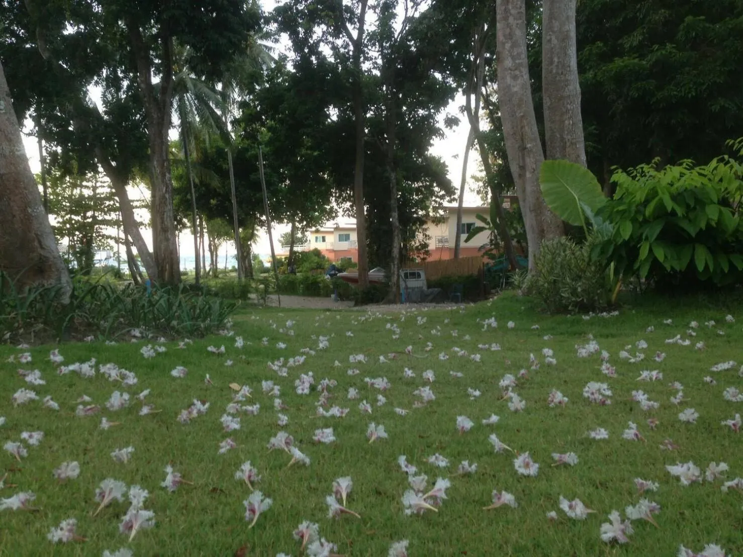 Garden in Z-Touch Lipe Island Resort
