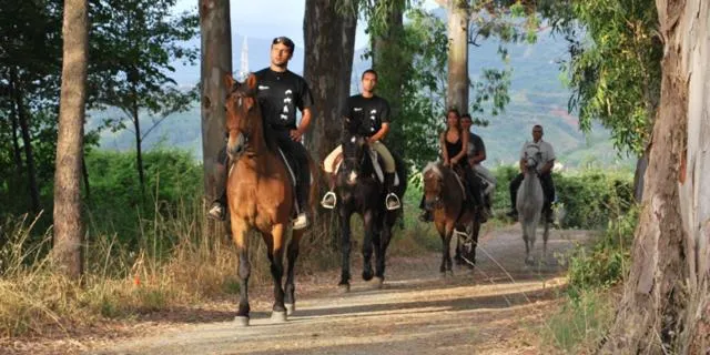 Horse-riding in Hotel Diamond Residence