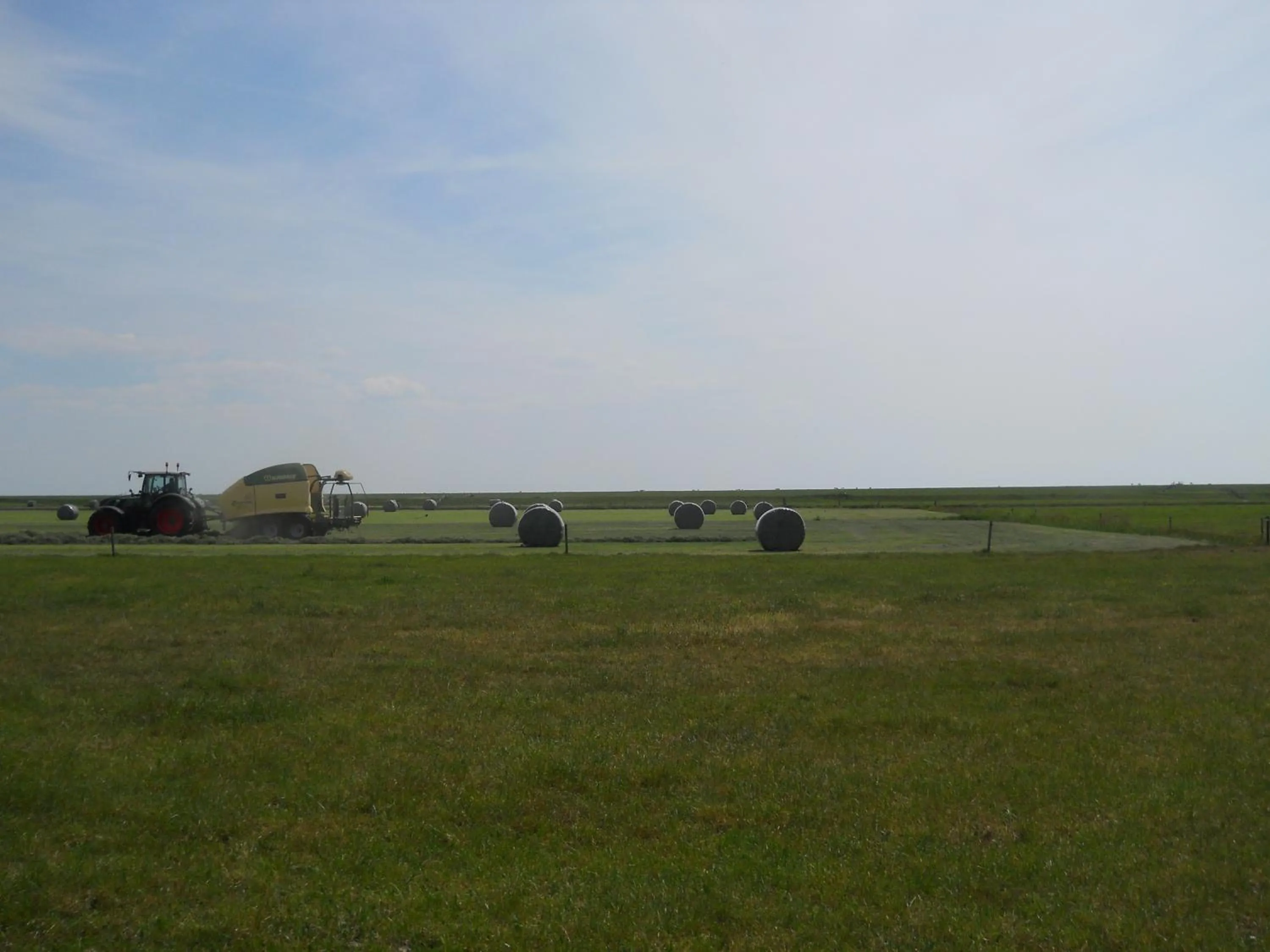 Garden in De Stormvogel