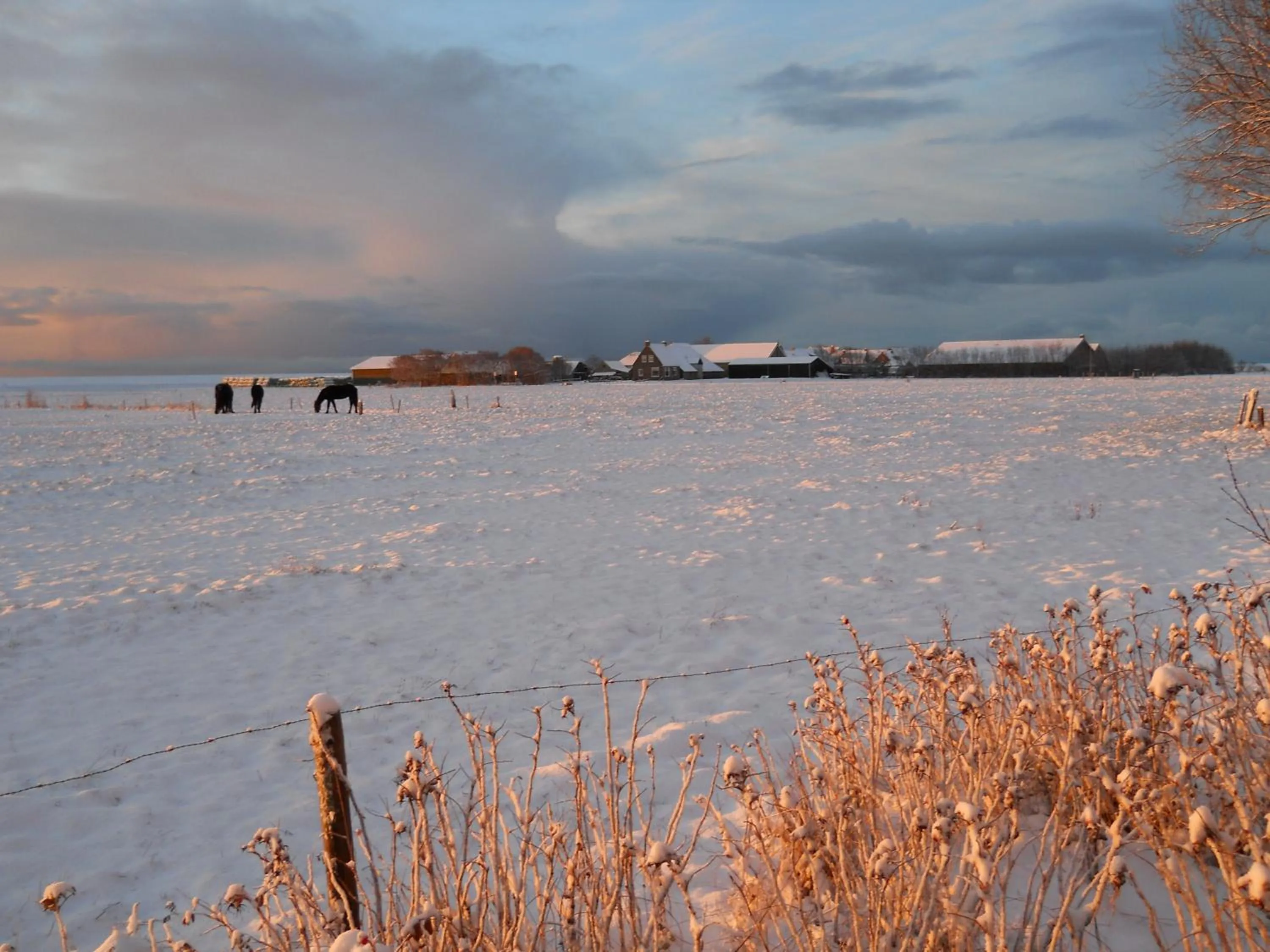Natural landscape in De Stormvogel