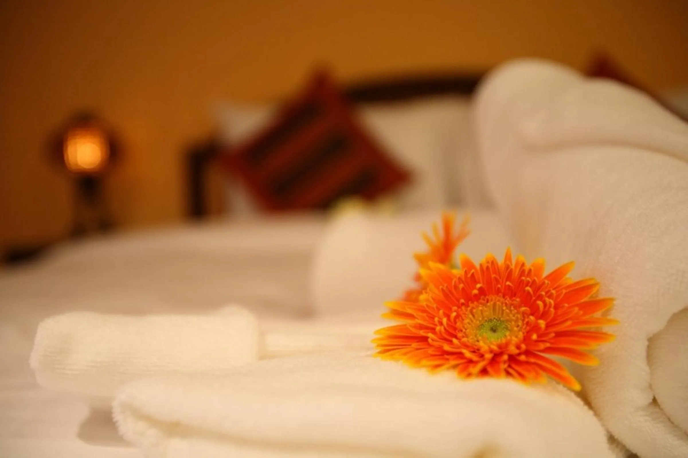 Bed in Chiang Mai Boutique House