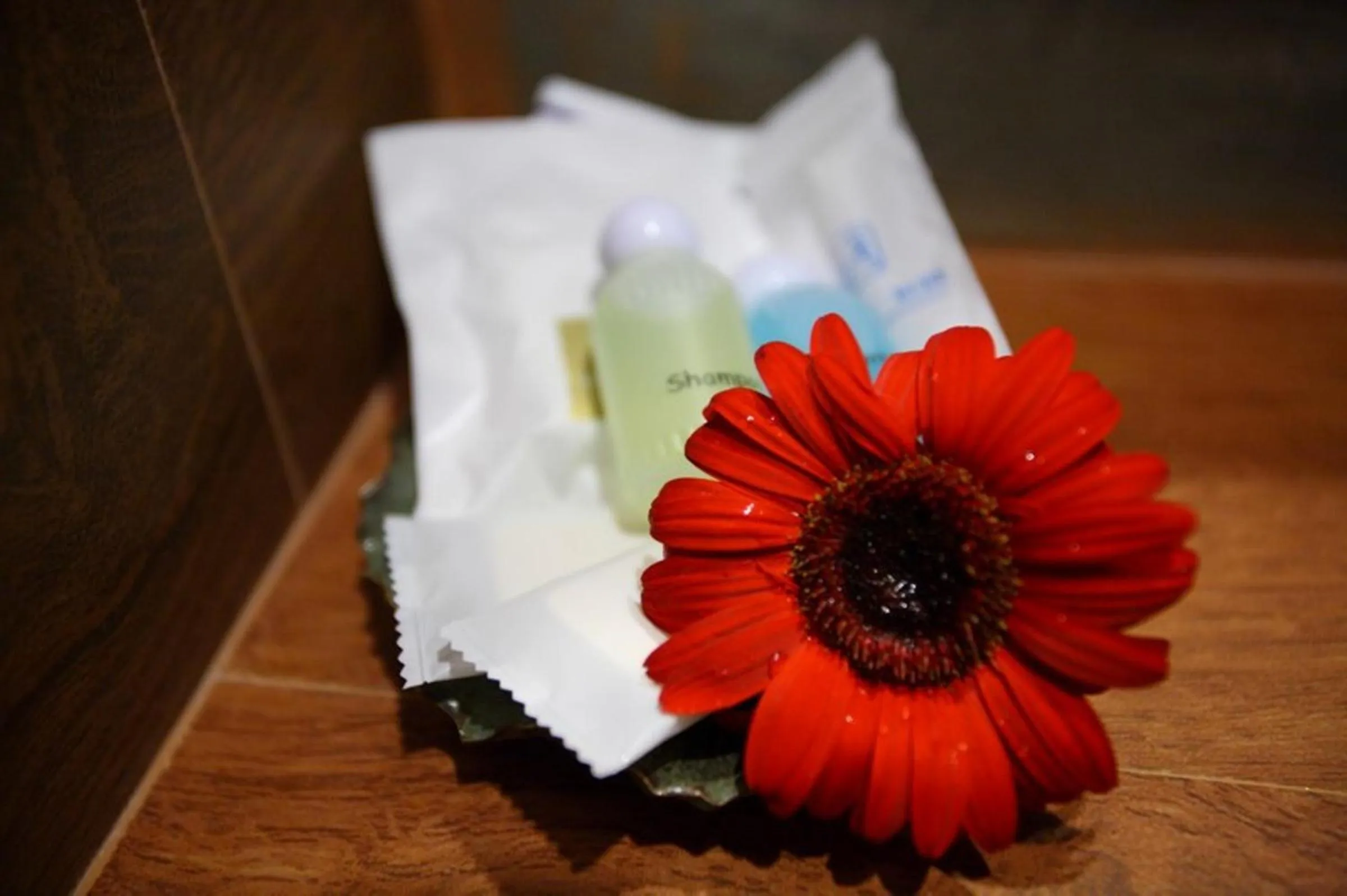 Other in Chiang Mai Boutique House