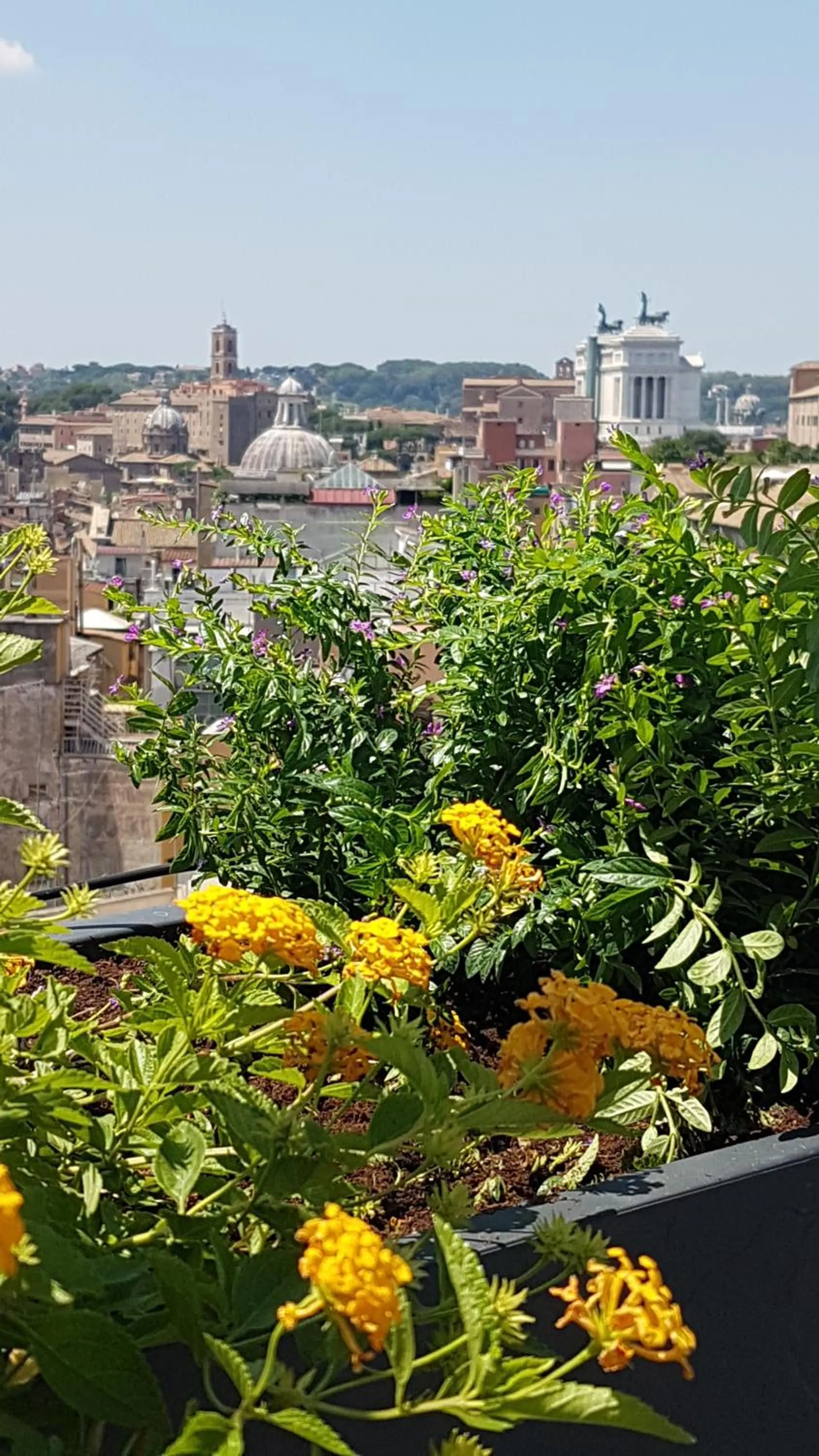 Balcony/Terrace in Monti Palace Hotel