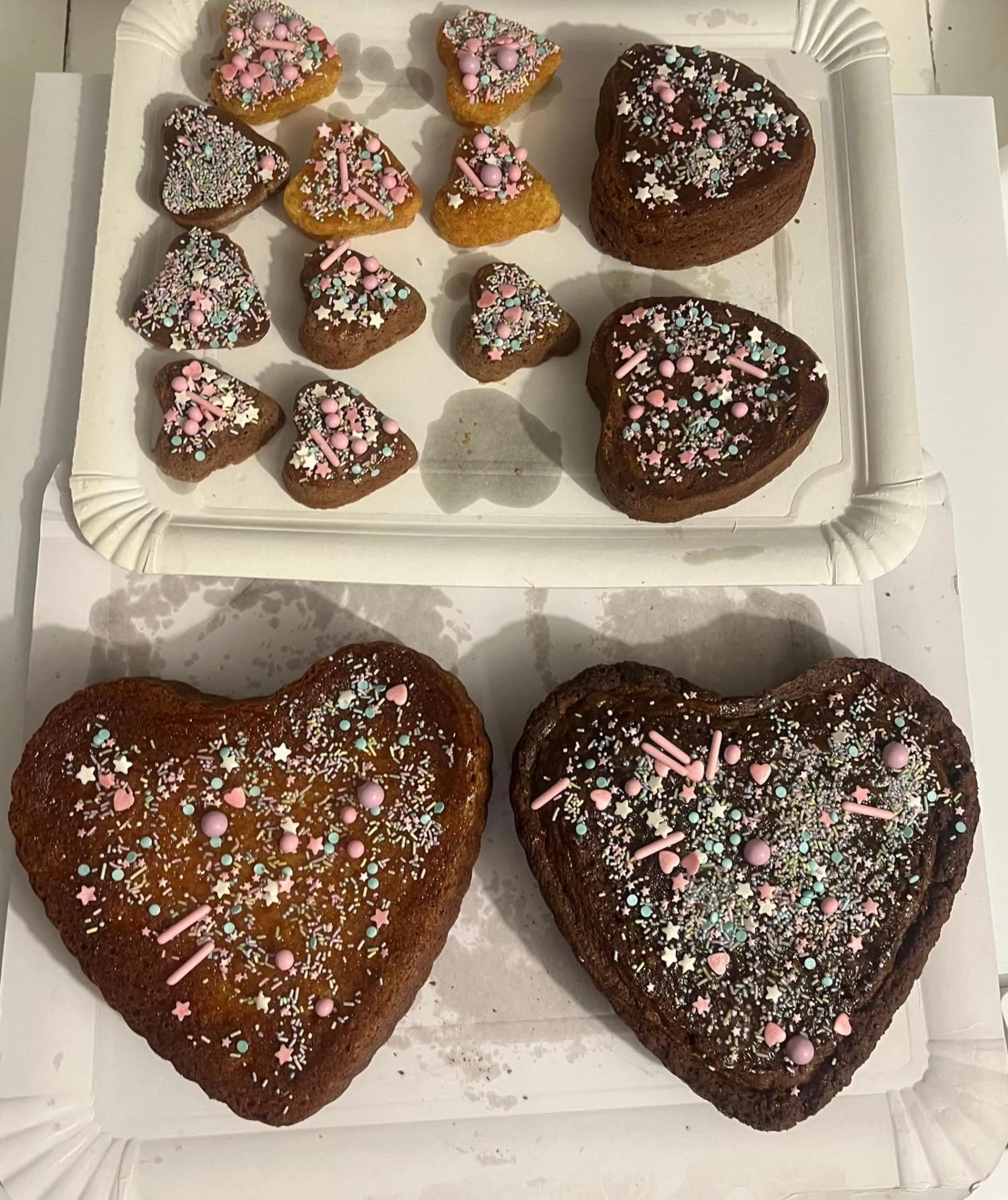 Hotel Cosmos Tarragona