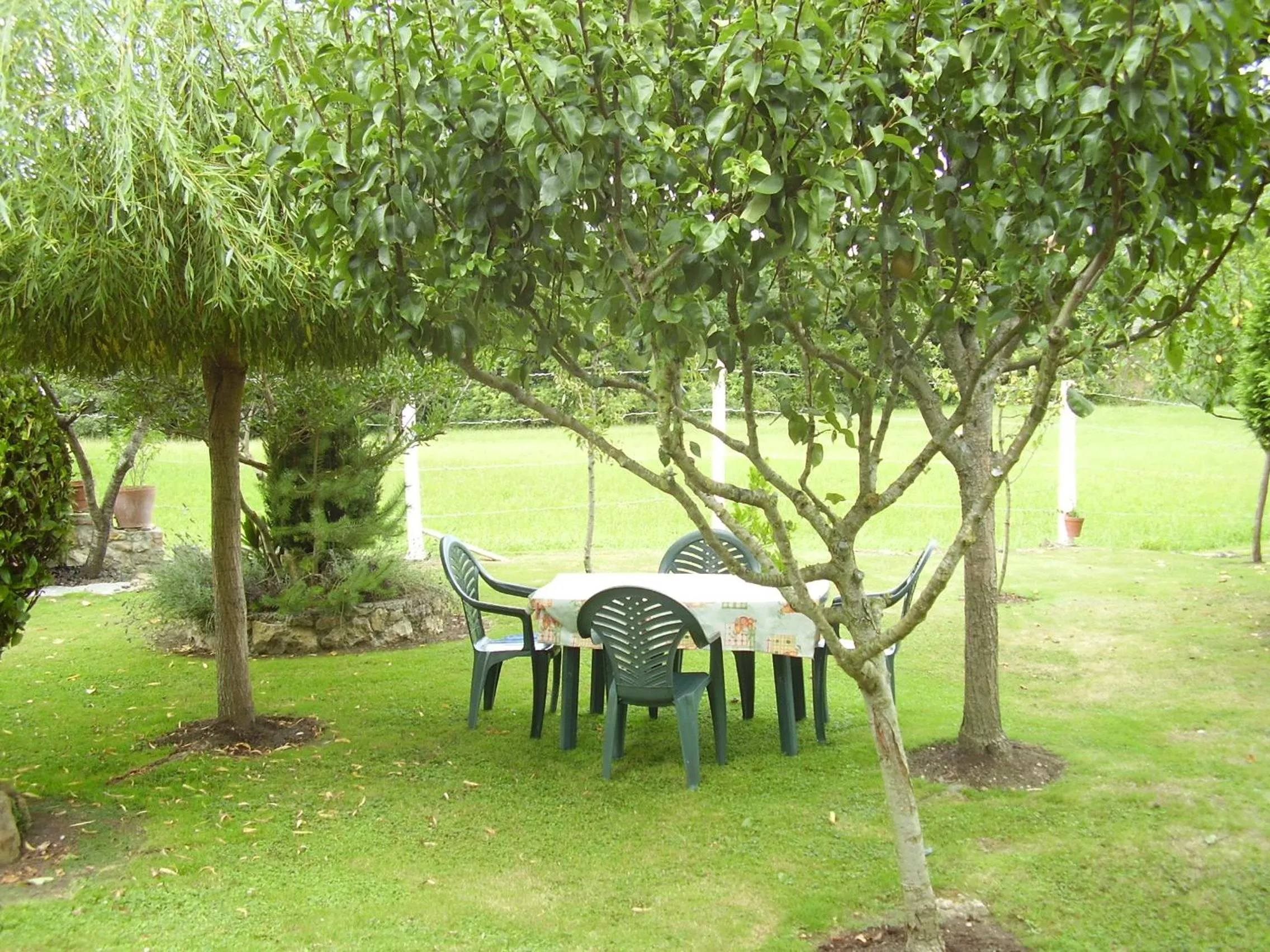 Garden in El Magnolio
