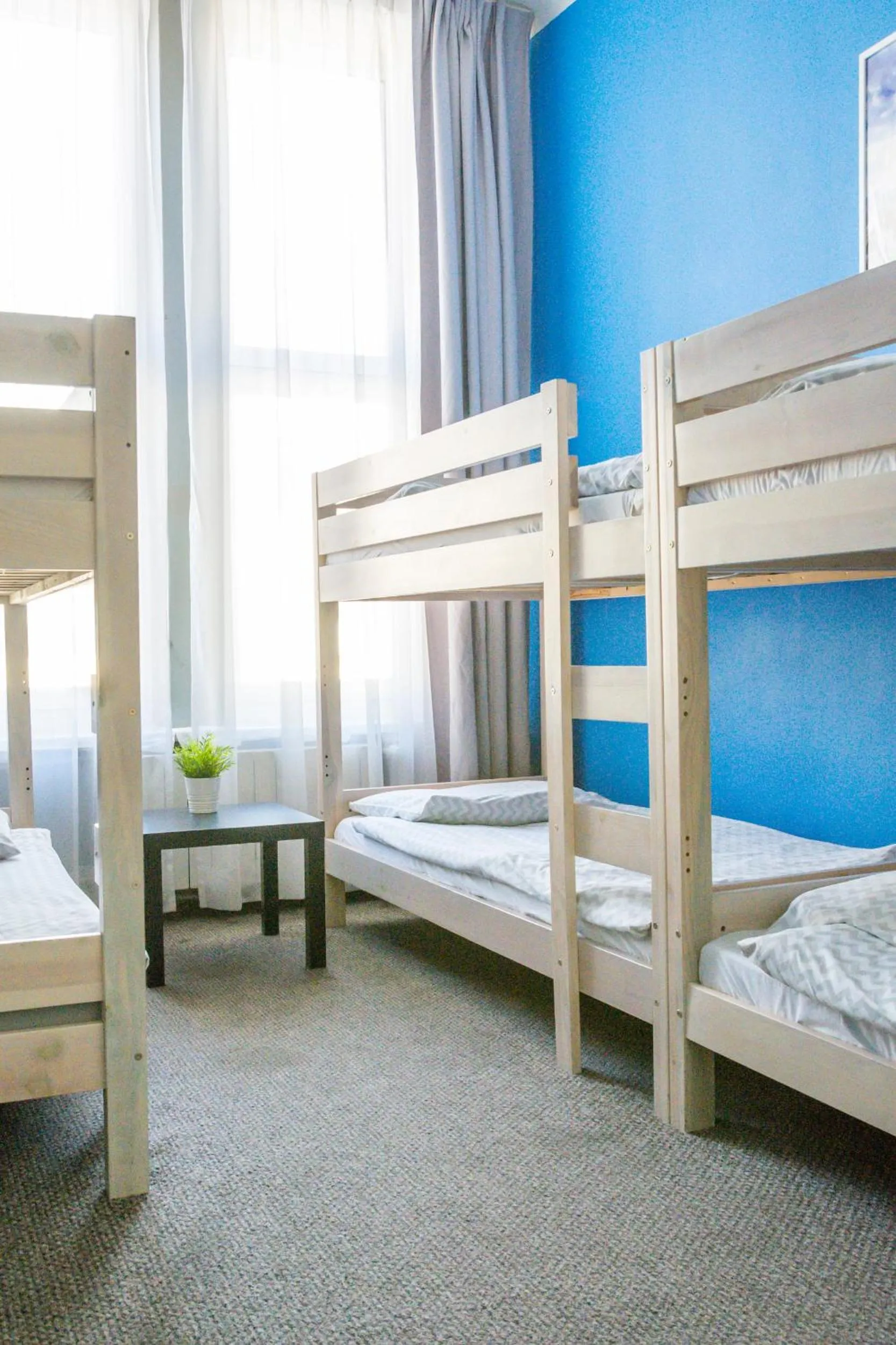 bunk bed, Bed in Moon Hostel Warszawa
