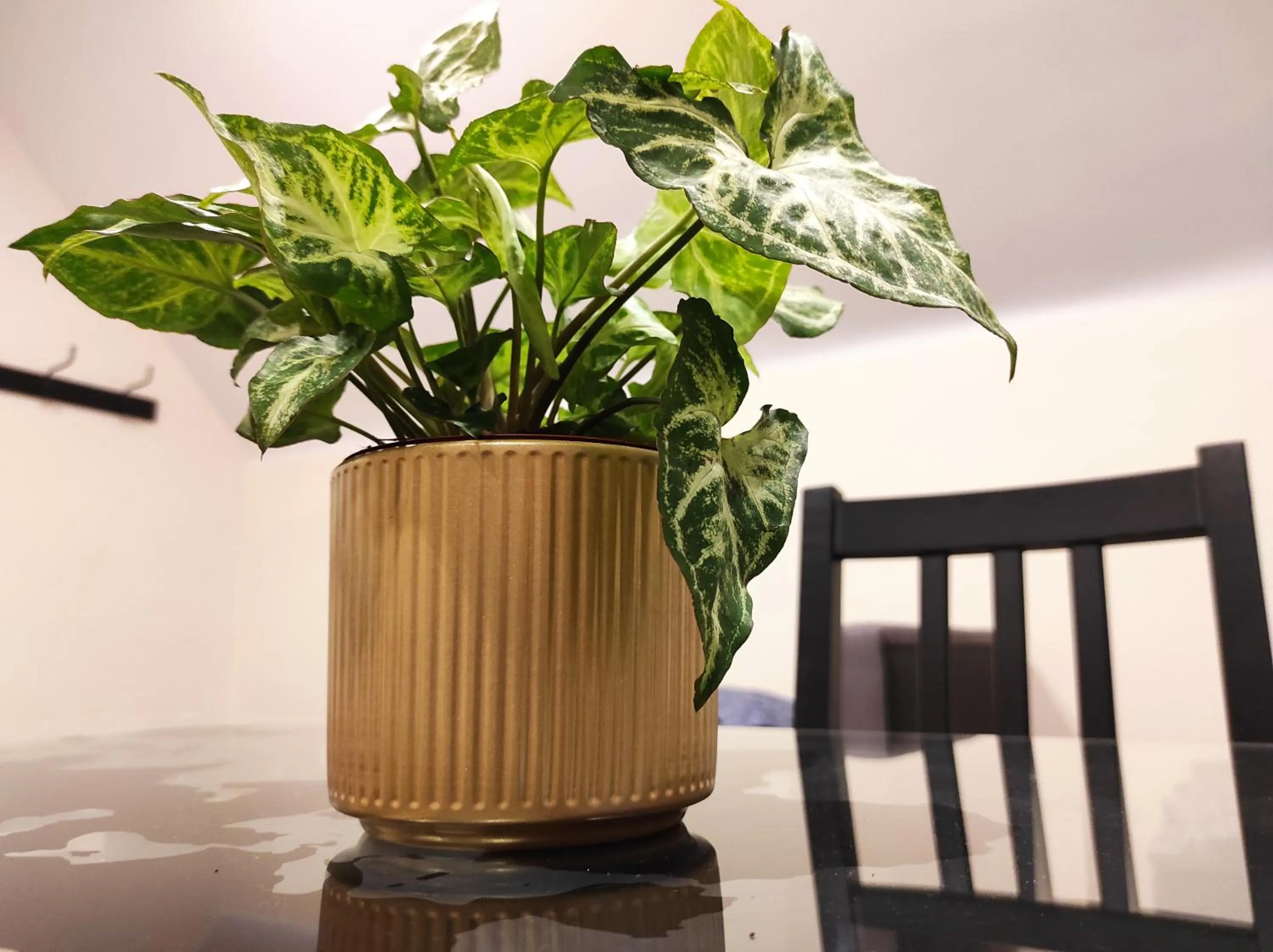 Natural landscape in Moon Hostel Warszawa