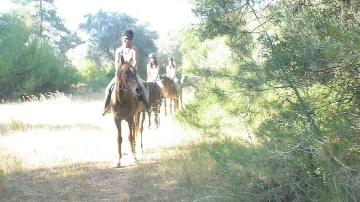 Other in Apollon Hotel