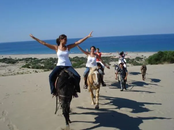 Beach in Apollon Hotel