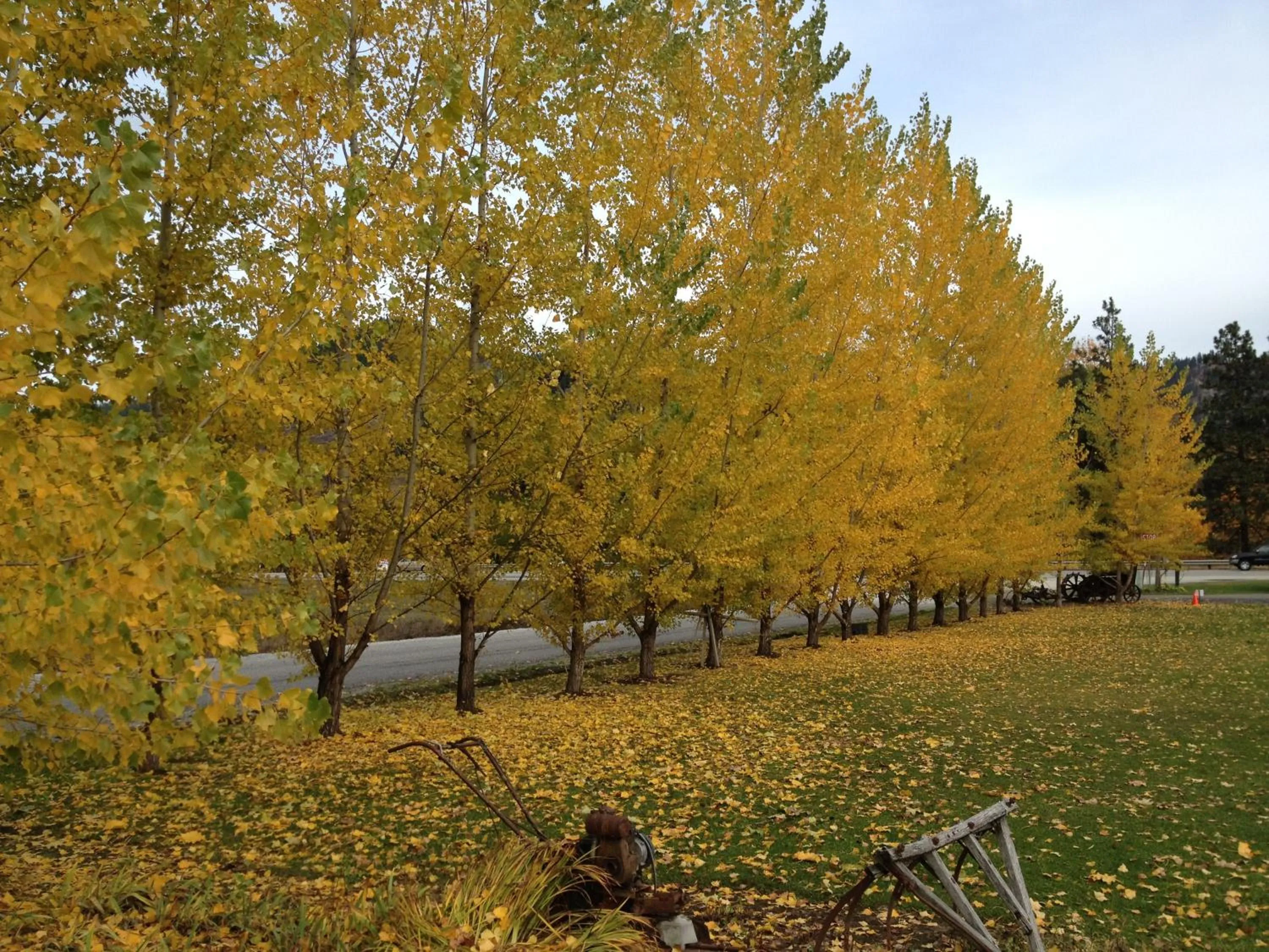 Neighbourhood in Obertal Inn