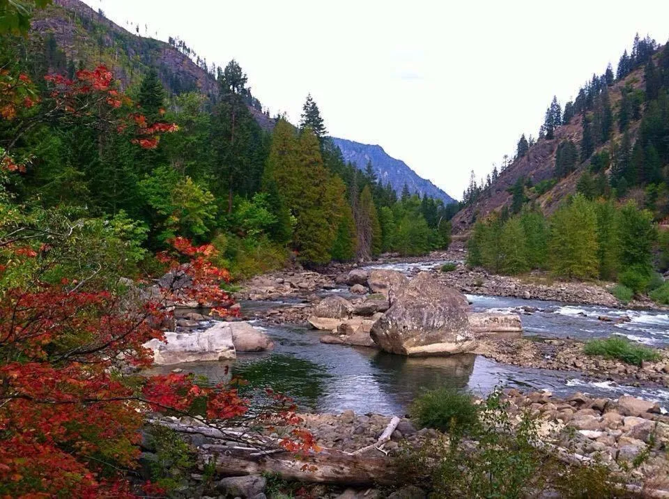 Neighbourhood in Obertal Inn
