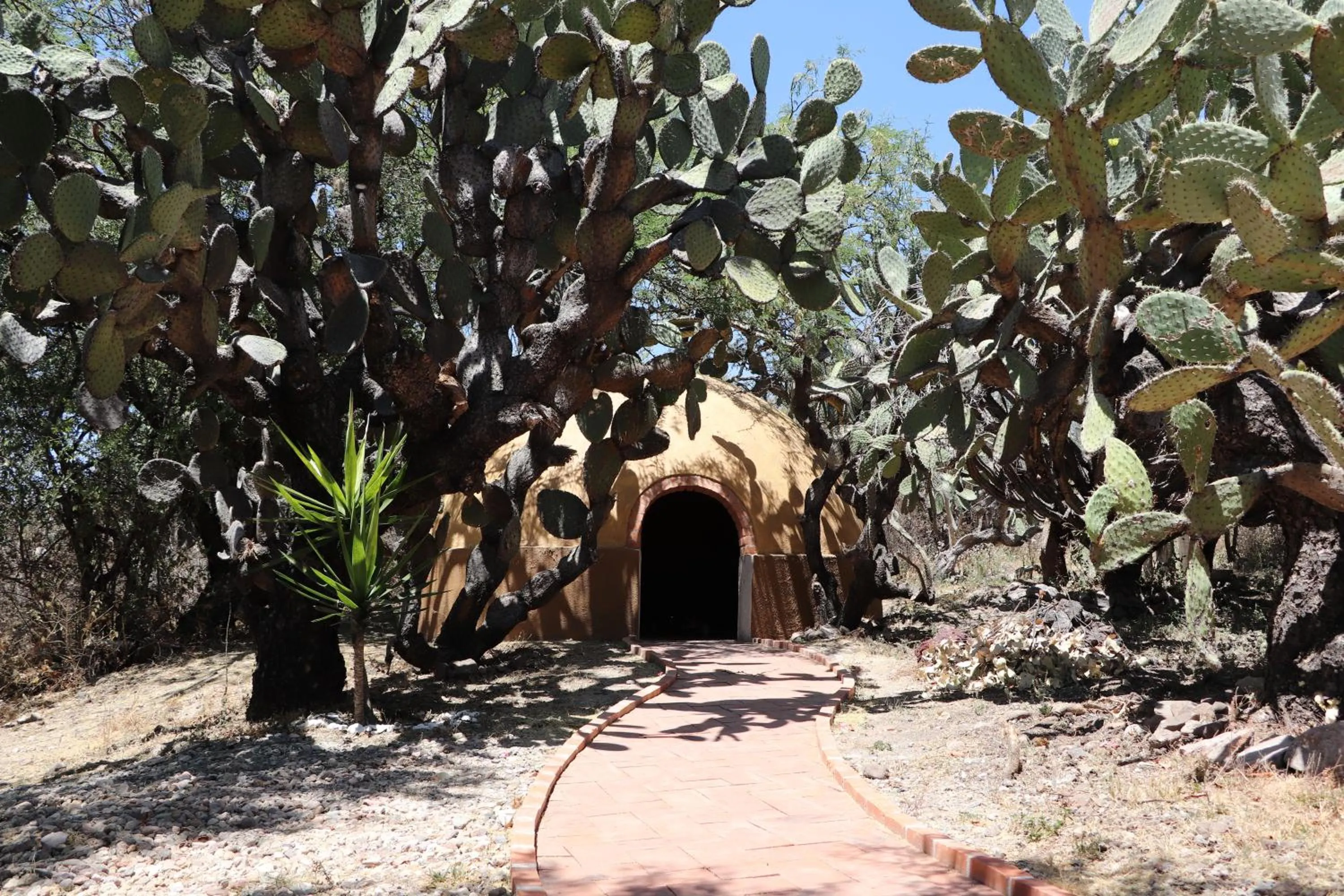 Property building in Gran Despertar El Faro