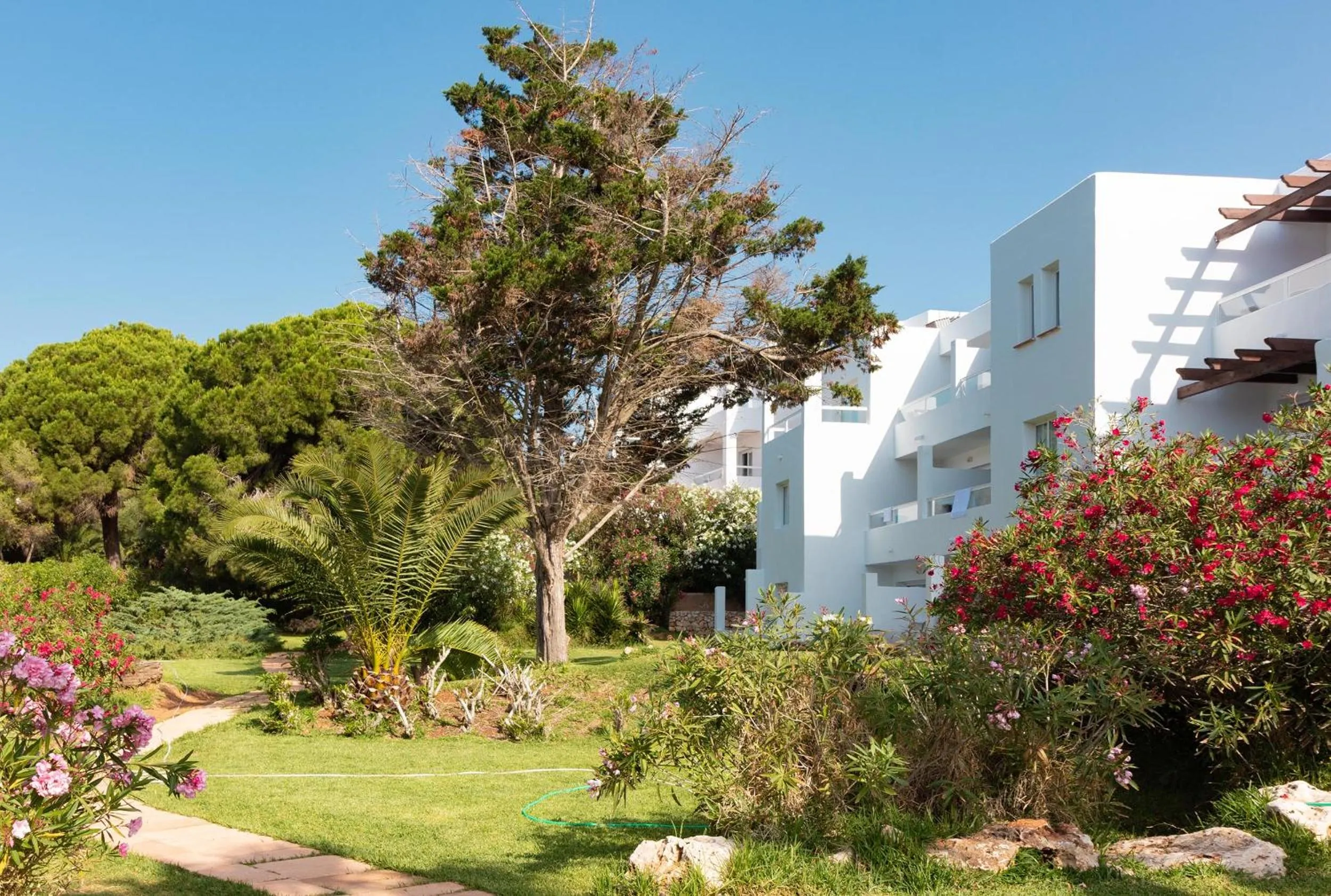 Property building in Hotel Palia Puerto del Sol 3 Sup