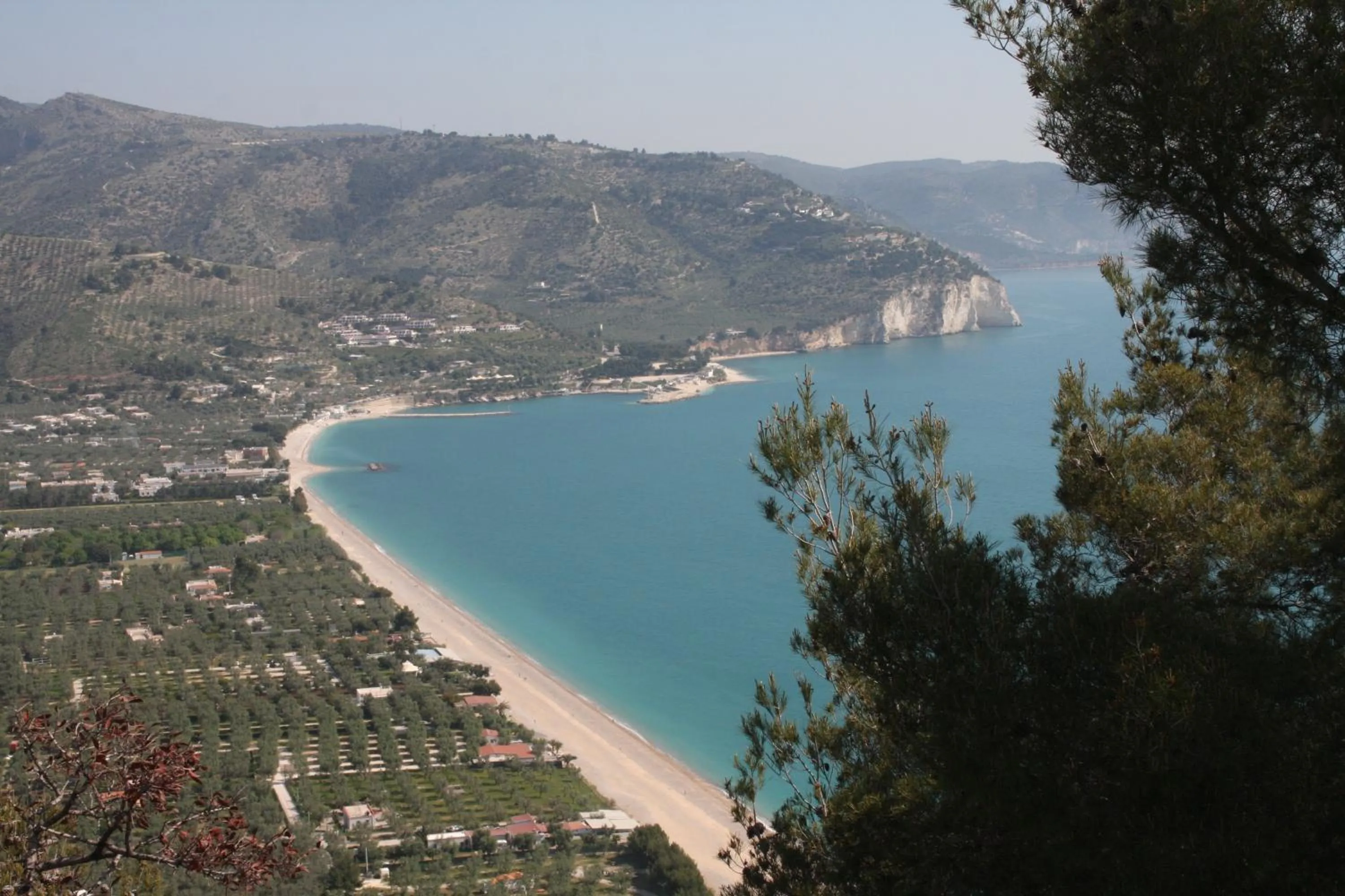 Natural landscape in Hotel Garden