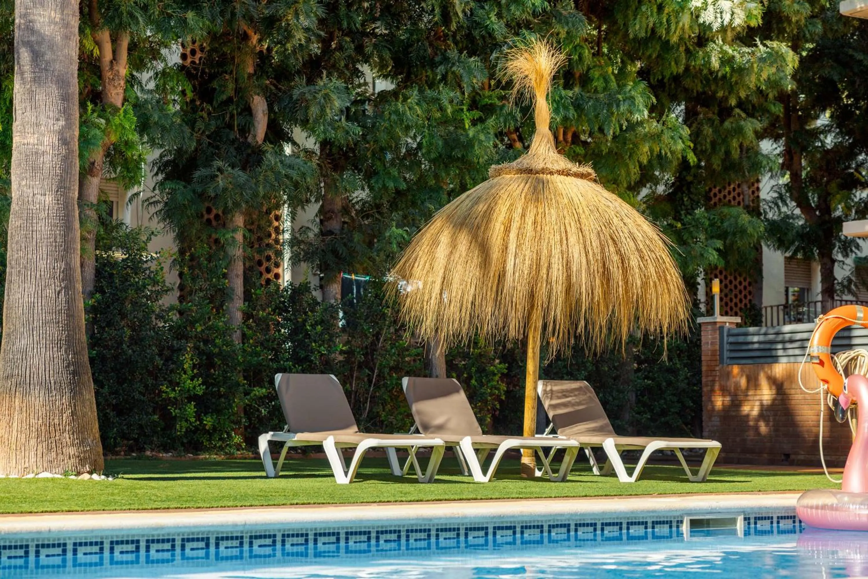 Swimming pool in Apartamentos Velor