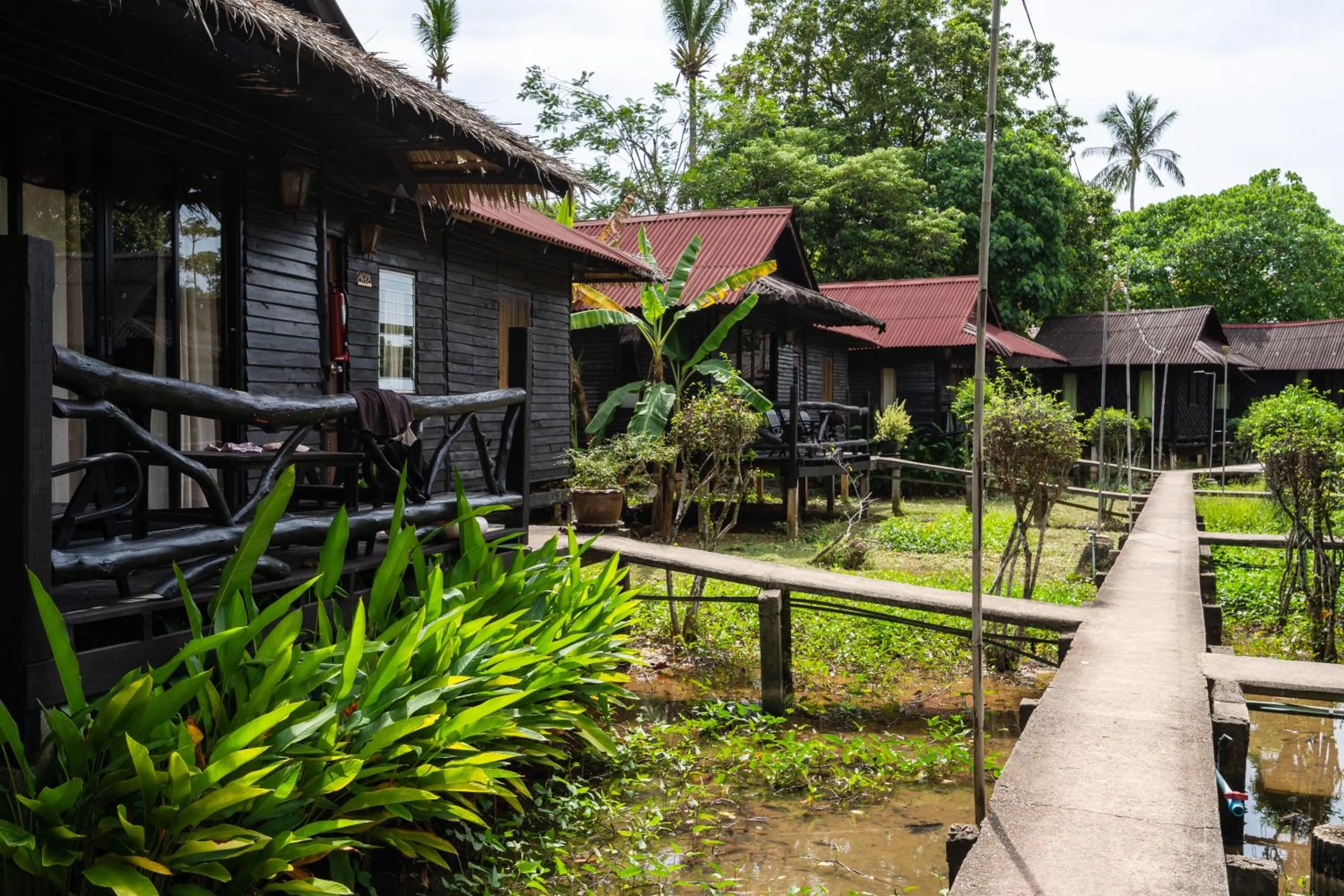 Natural landscape in Mook Lanta Eco Resort