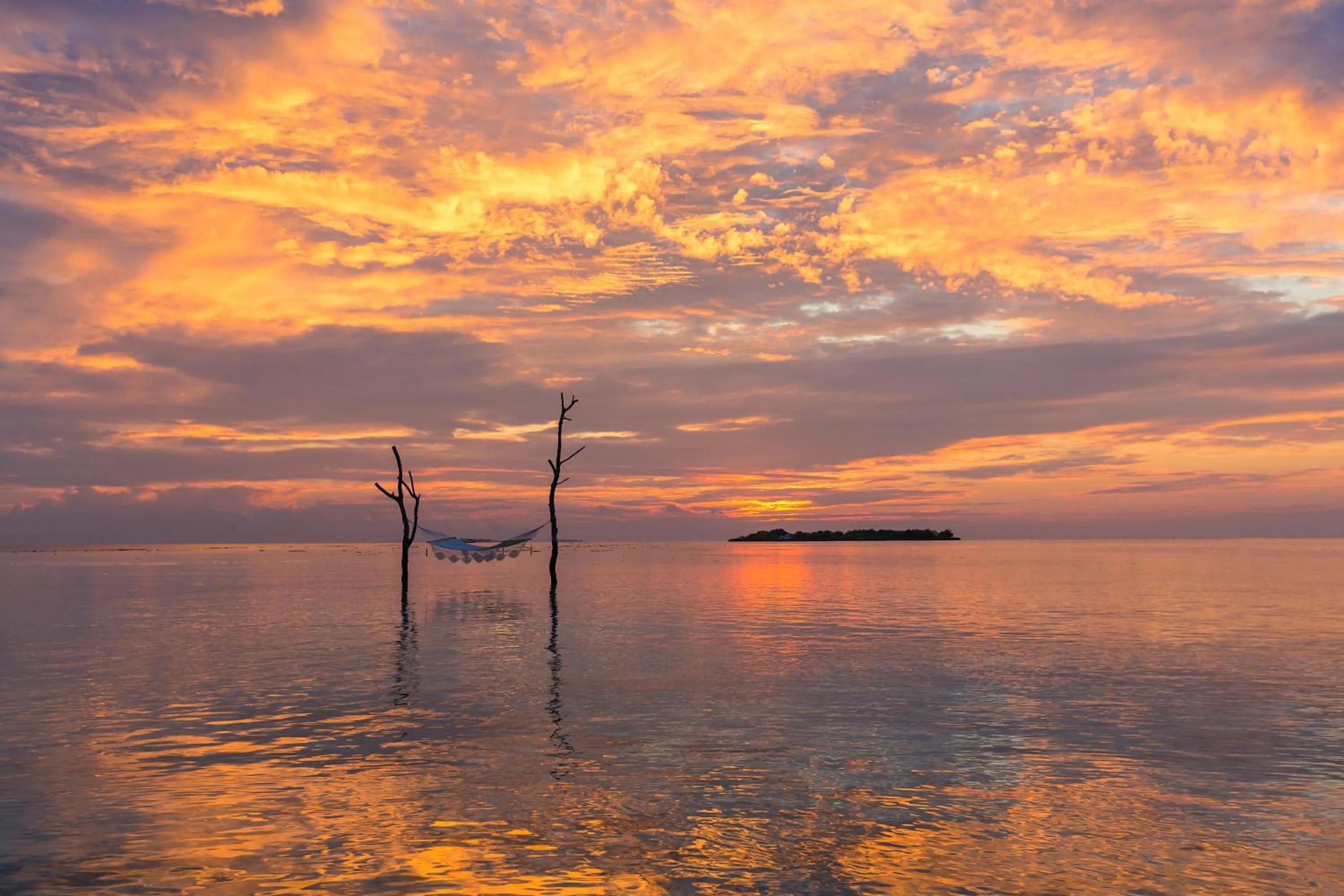 View (from property/room) in Sun Siyam Vilu Reef with Free Transfer