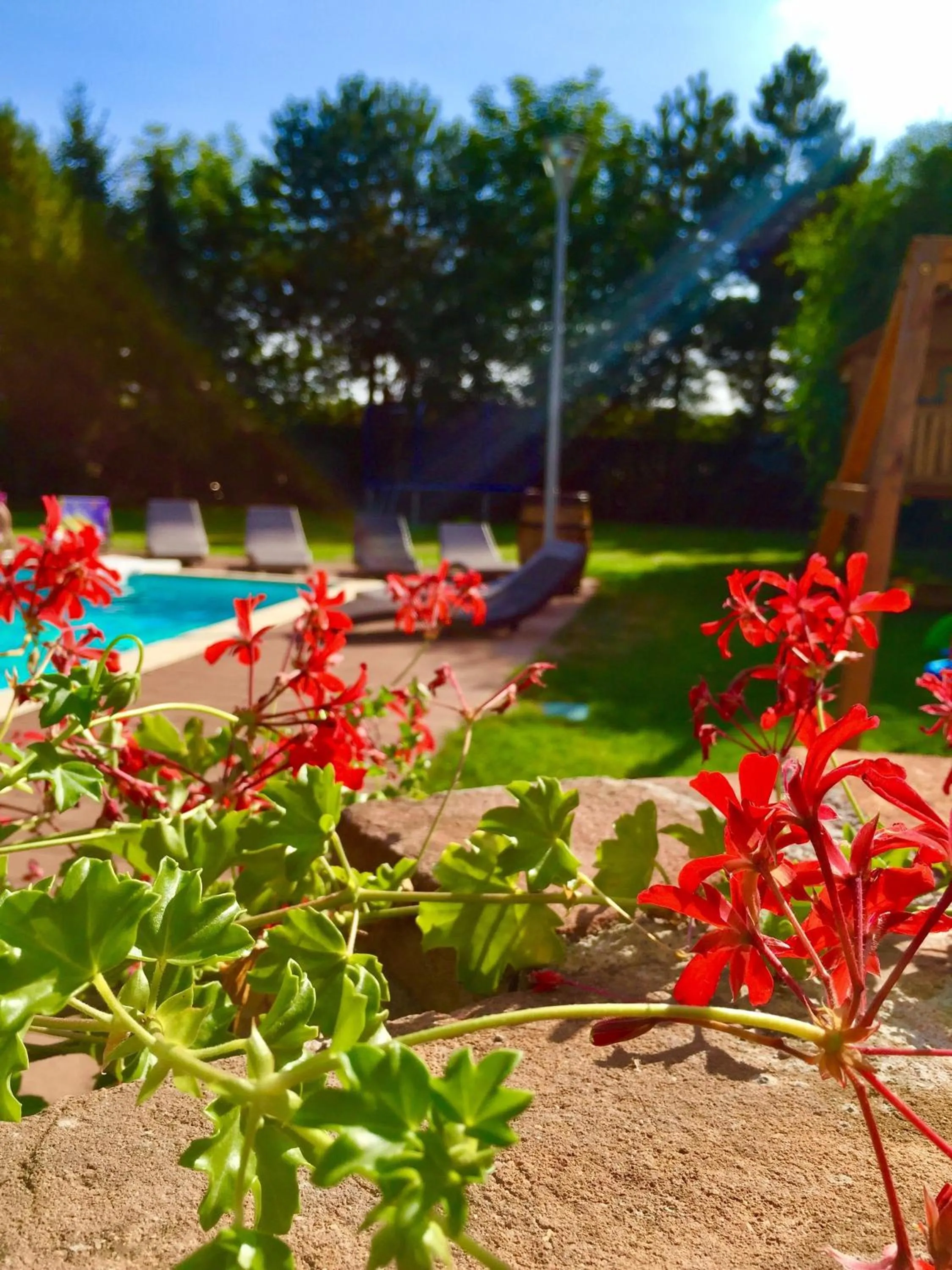 Garden in Garni hotel Celnice
