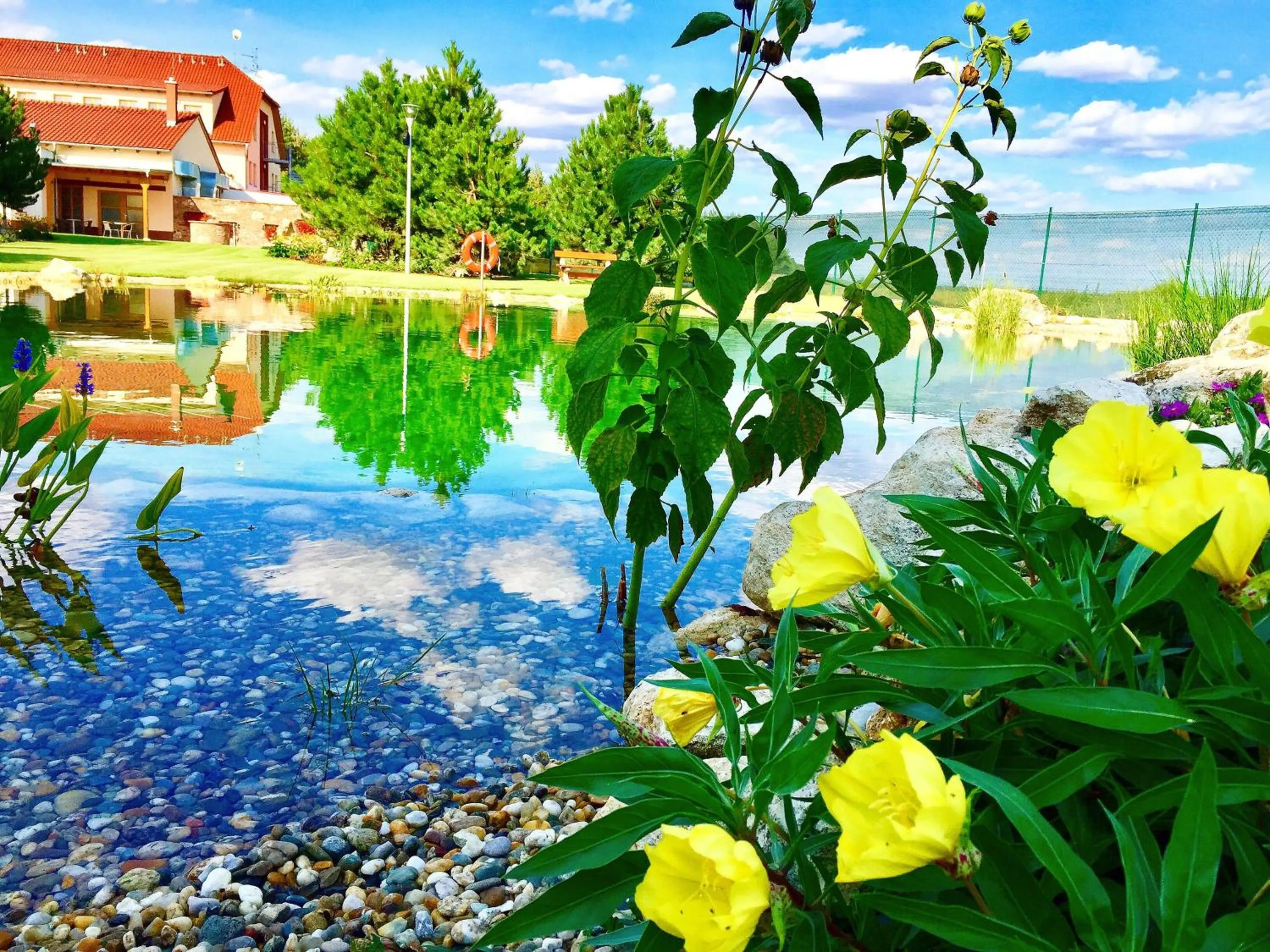 Garden in Garni hotel Celnice