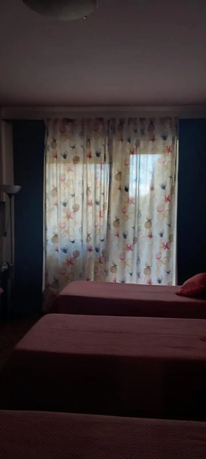 Bed in Cosmopolitan B&B