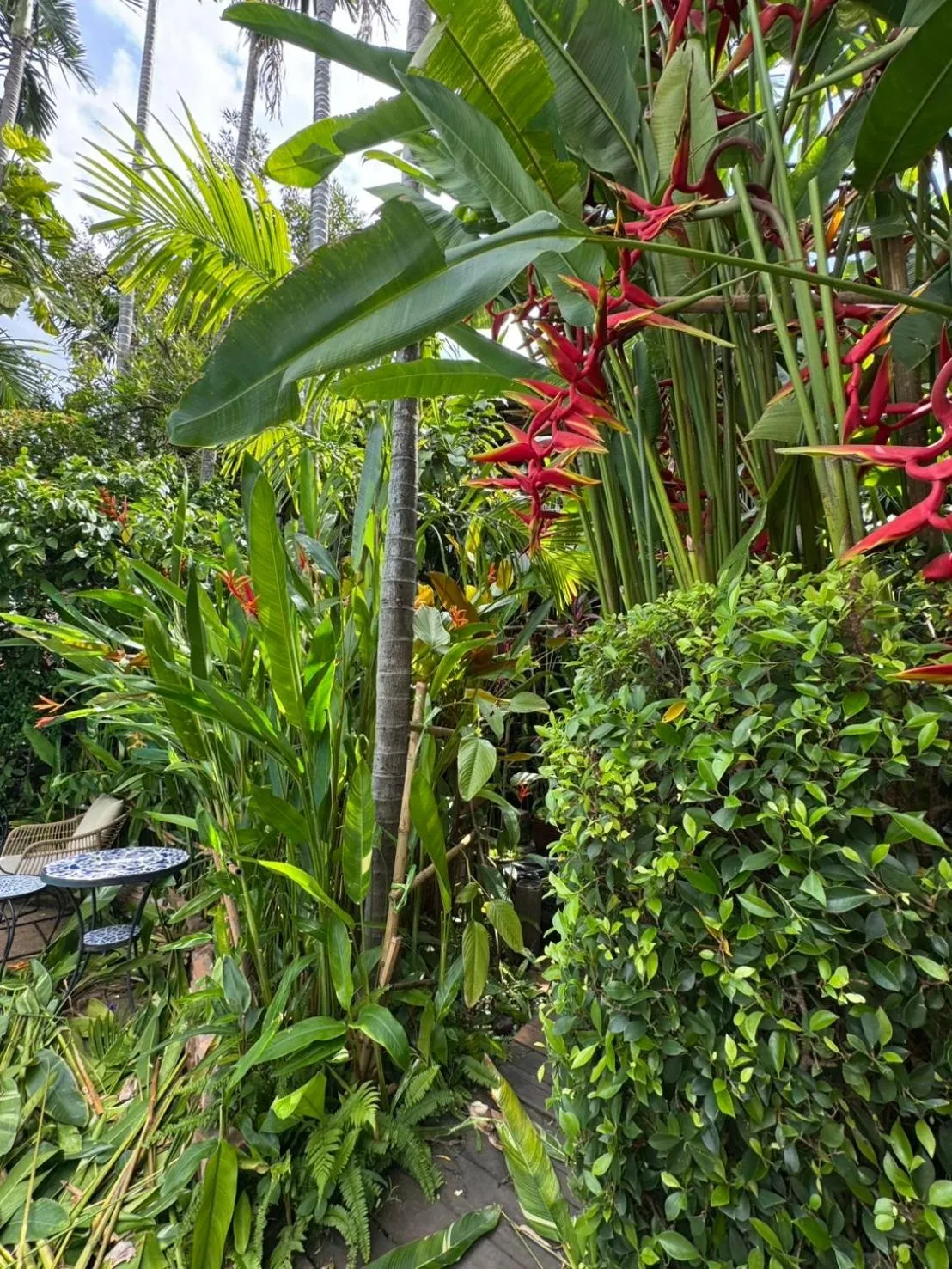 Natural landscape in The Twenty Lodge