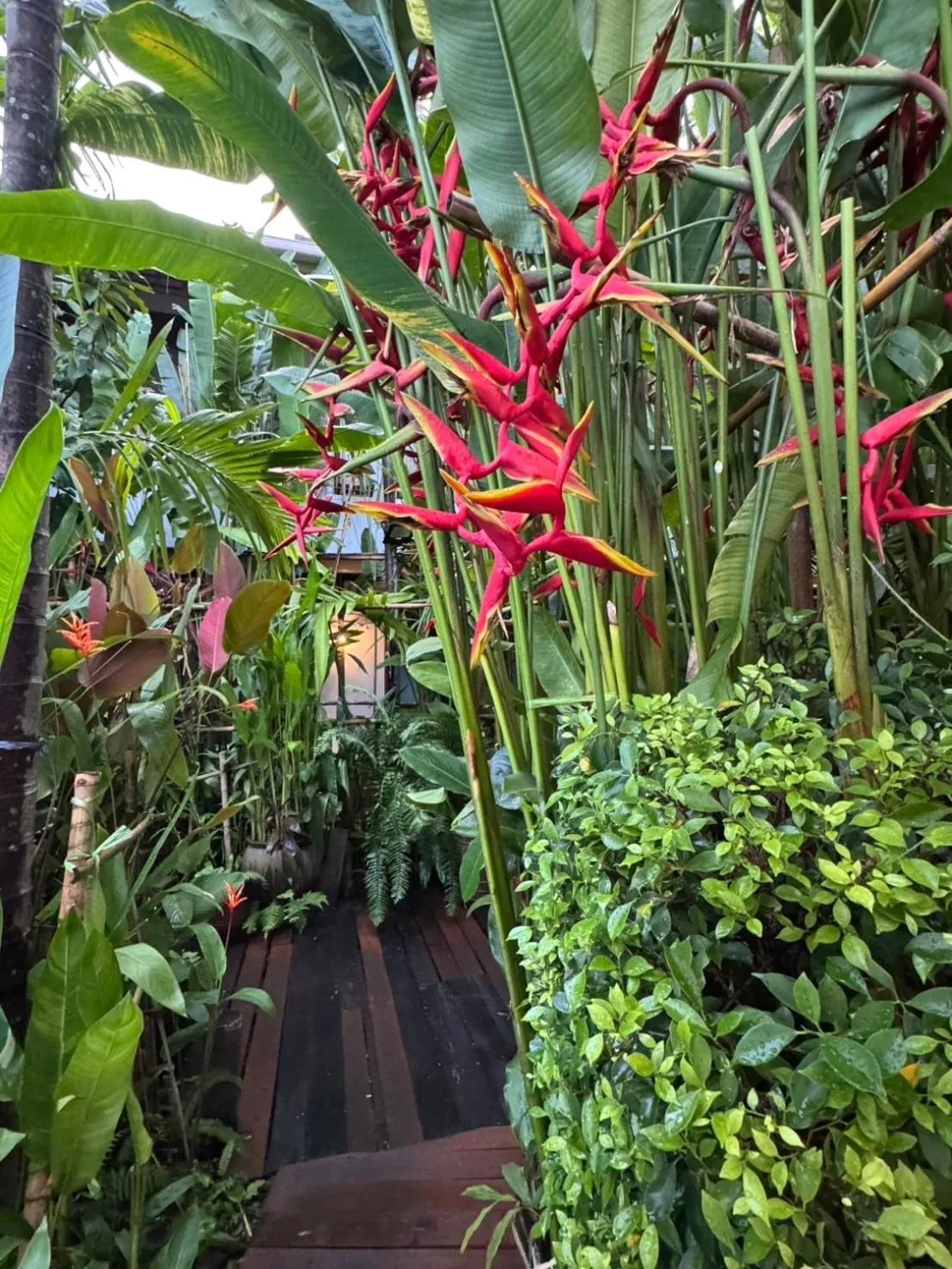 Natural landscape in The Twenty Lodge