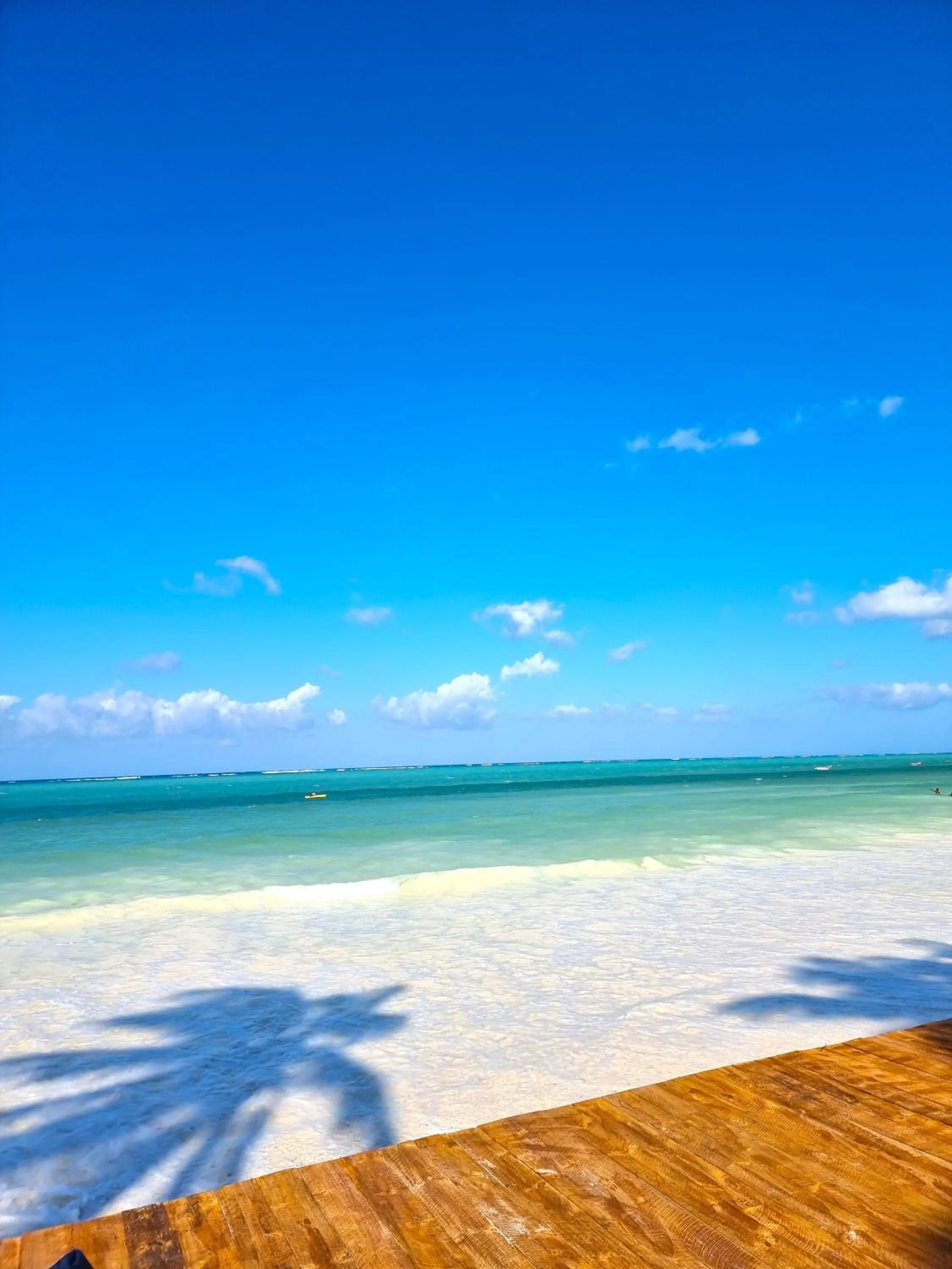 Beach in Blue Palm Zanzibar