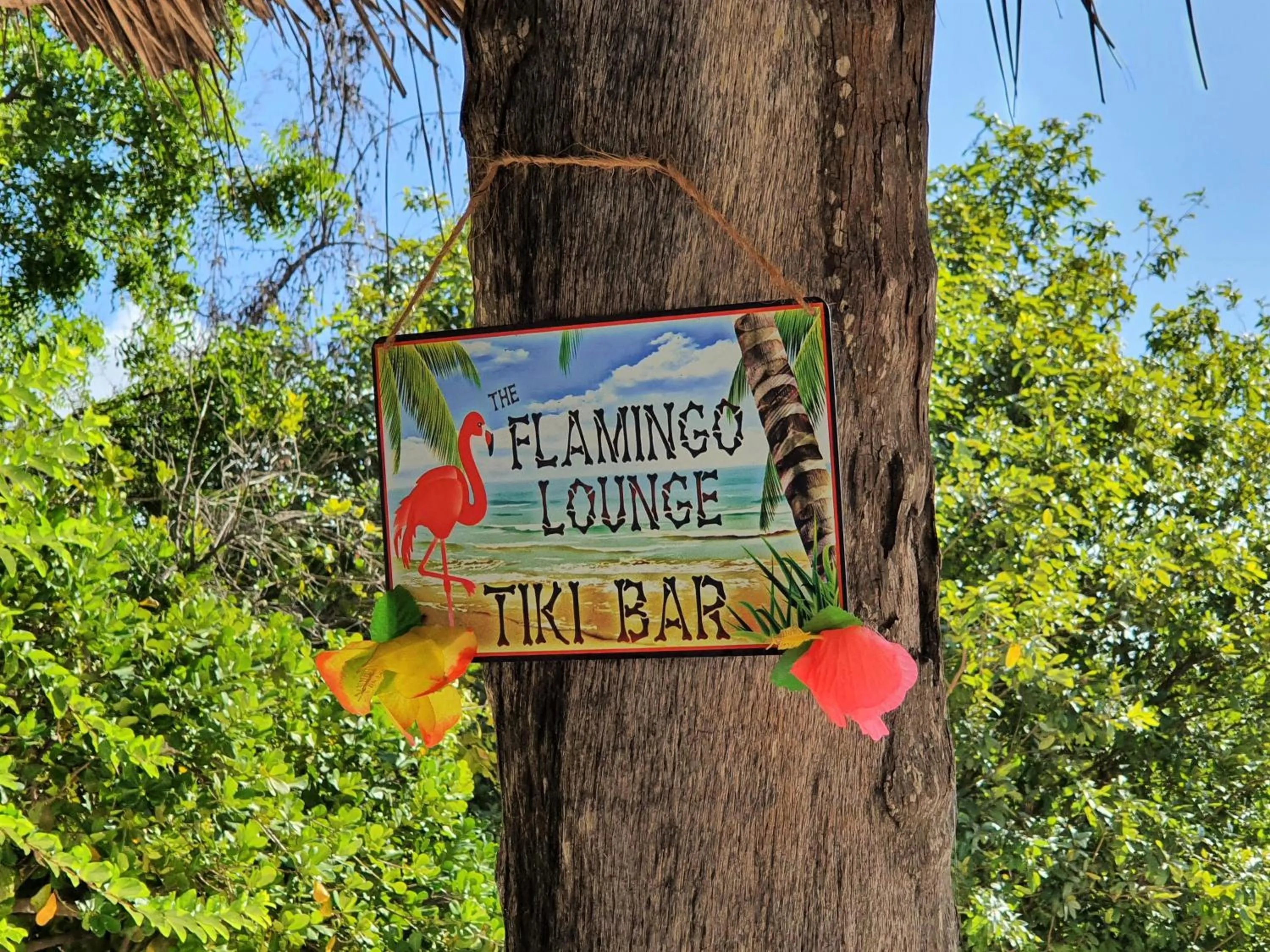 Natural landscape in Blue Palm Zanzibar