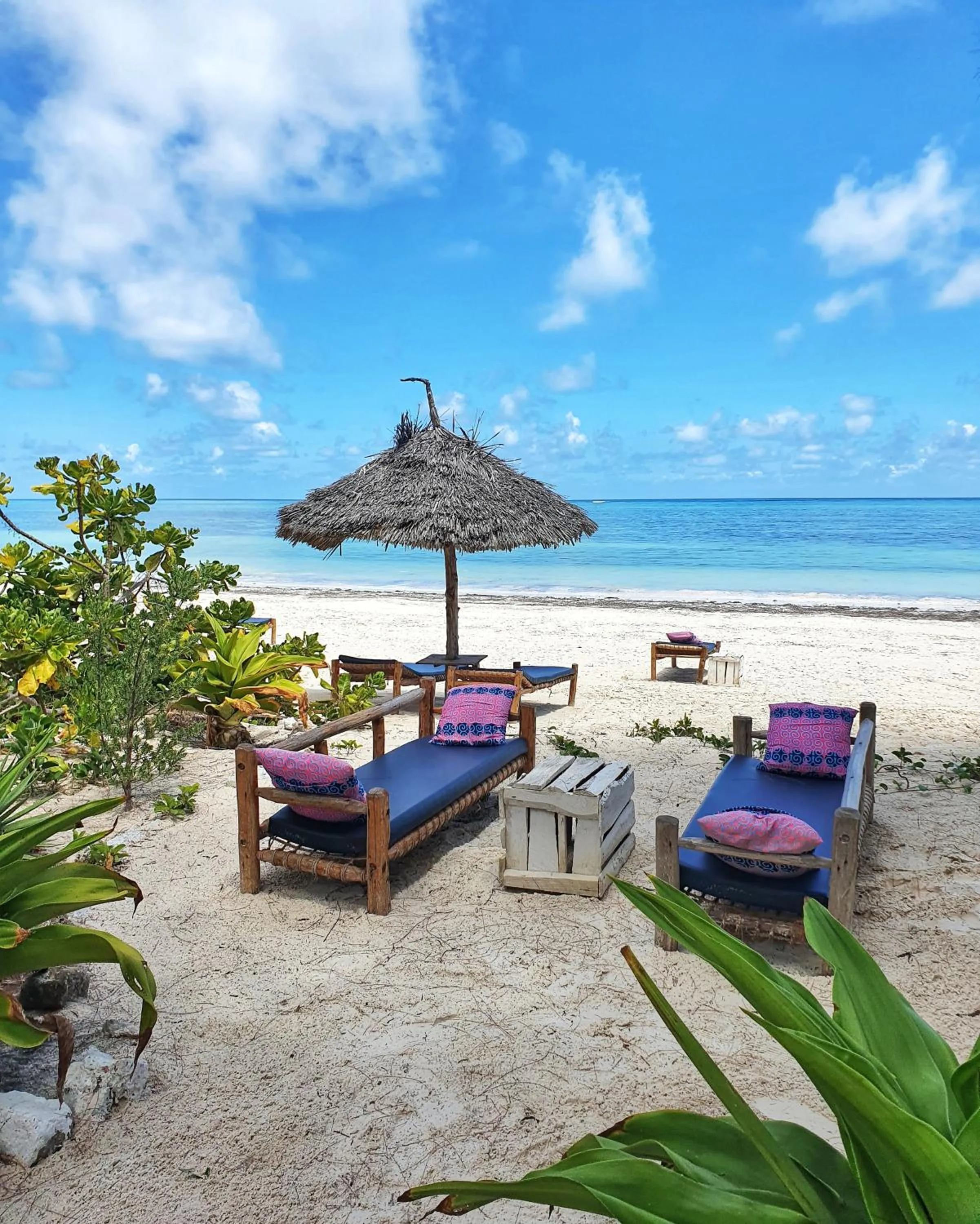 Garden in Blue Palm Zanzibar