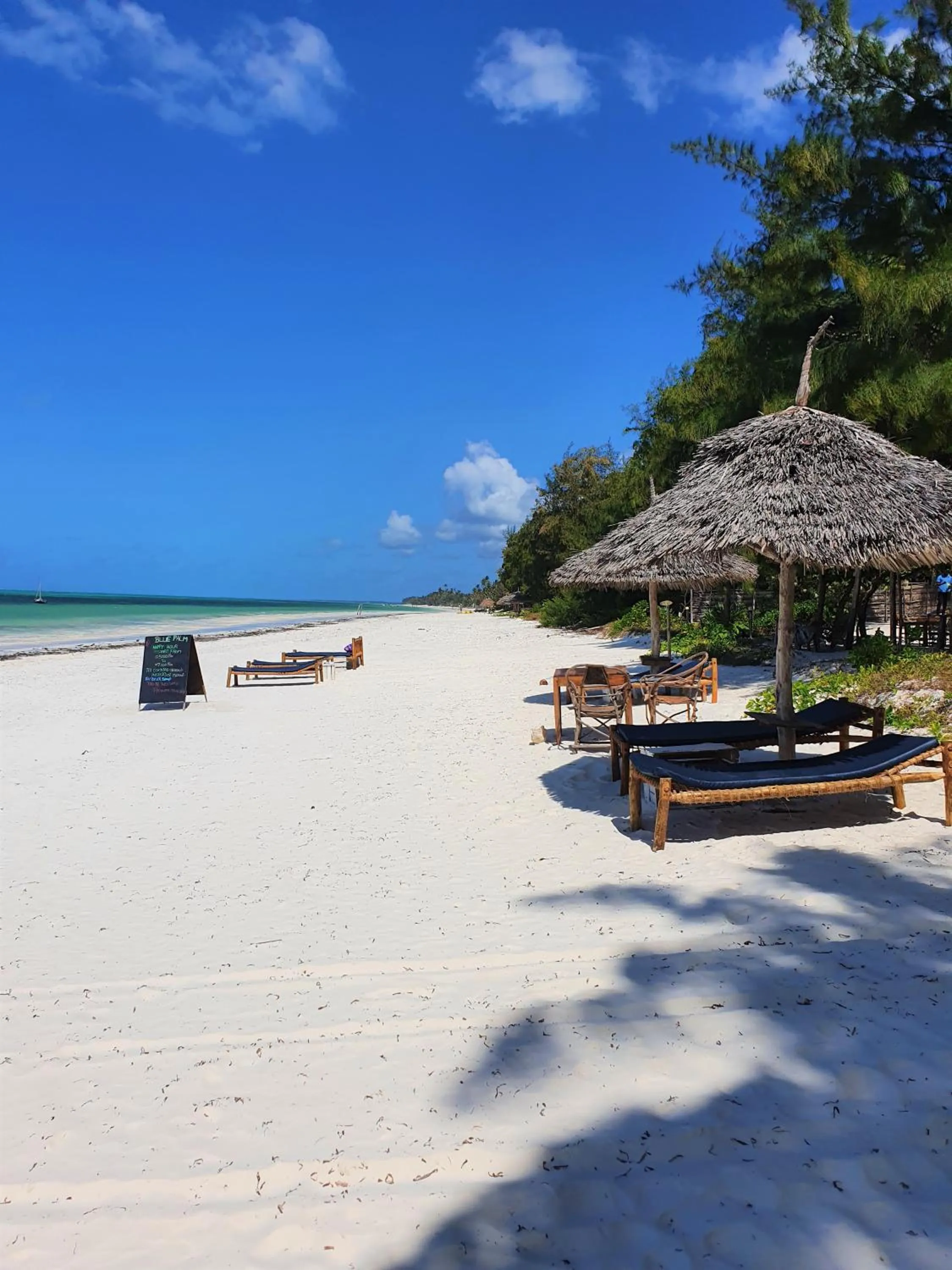 Beach in Blue Palm Zanzibar
